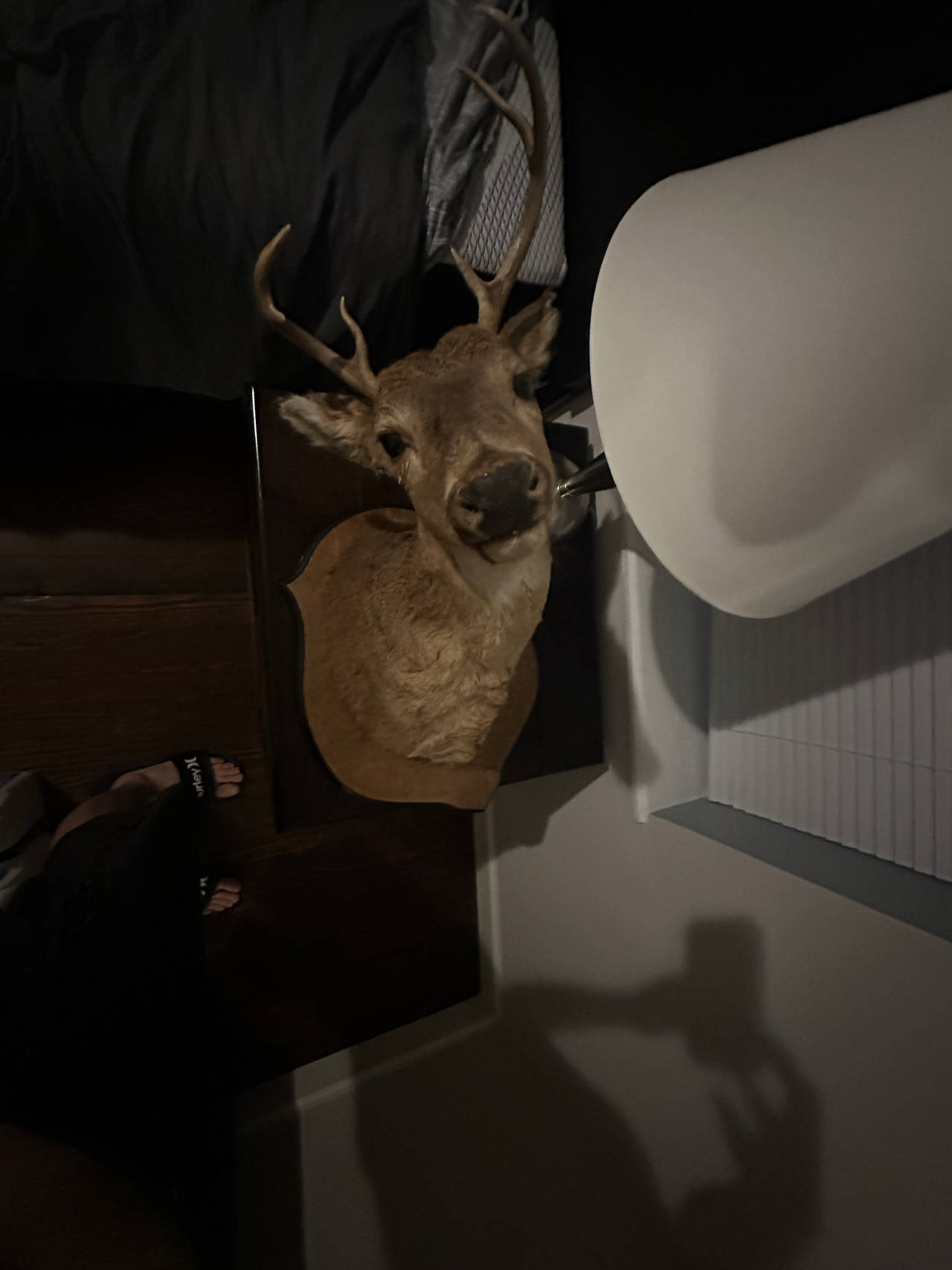 Deer Head Wall Mount