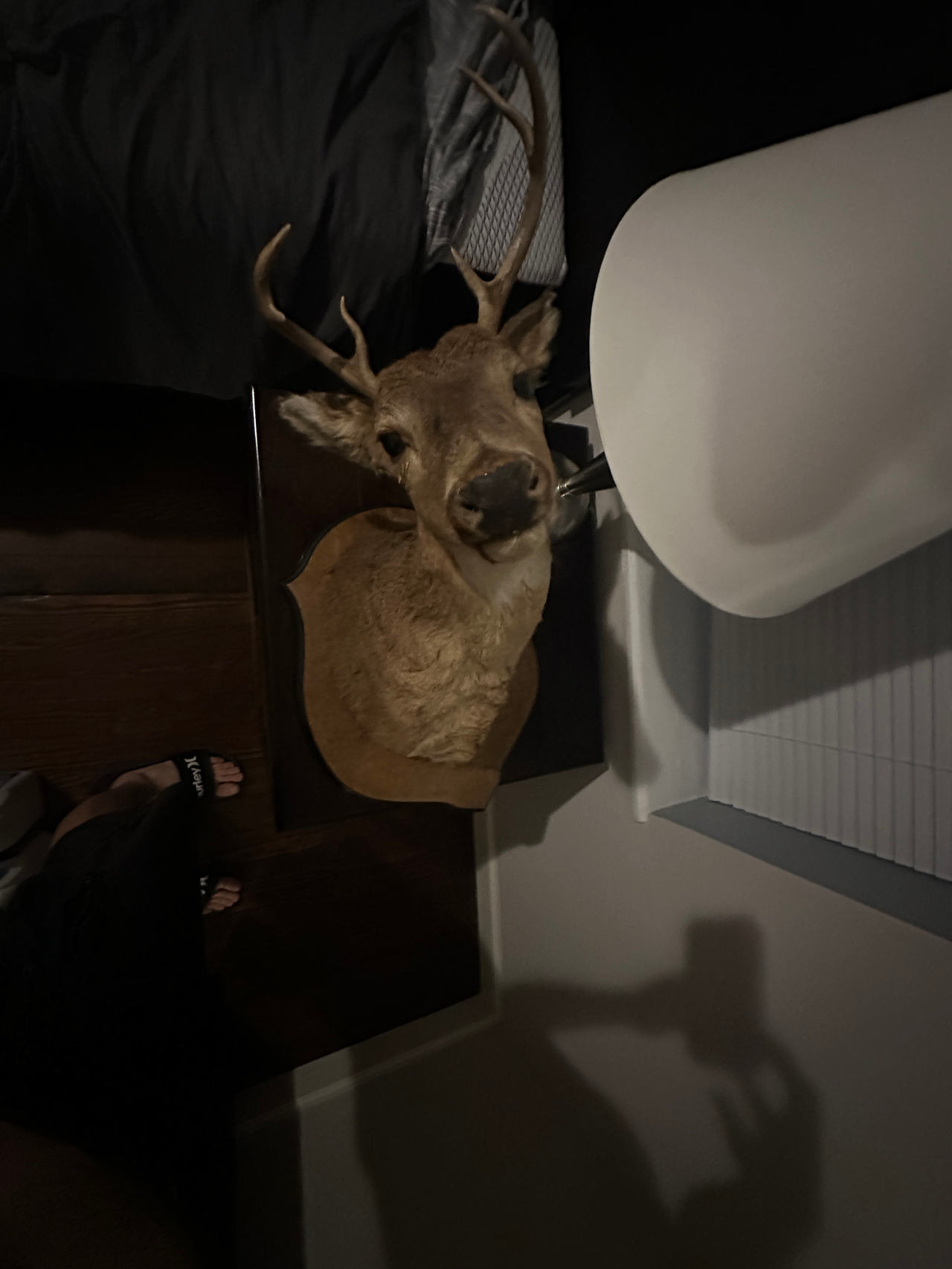 Deer Head Wall Mount