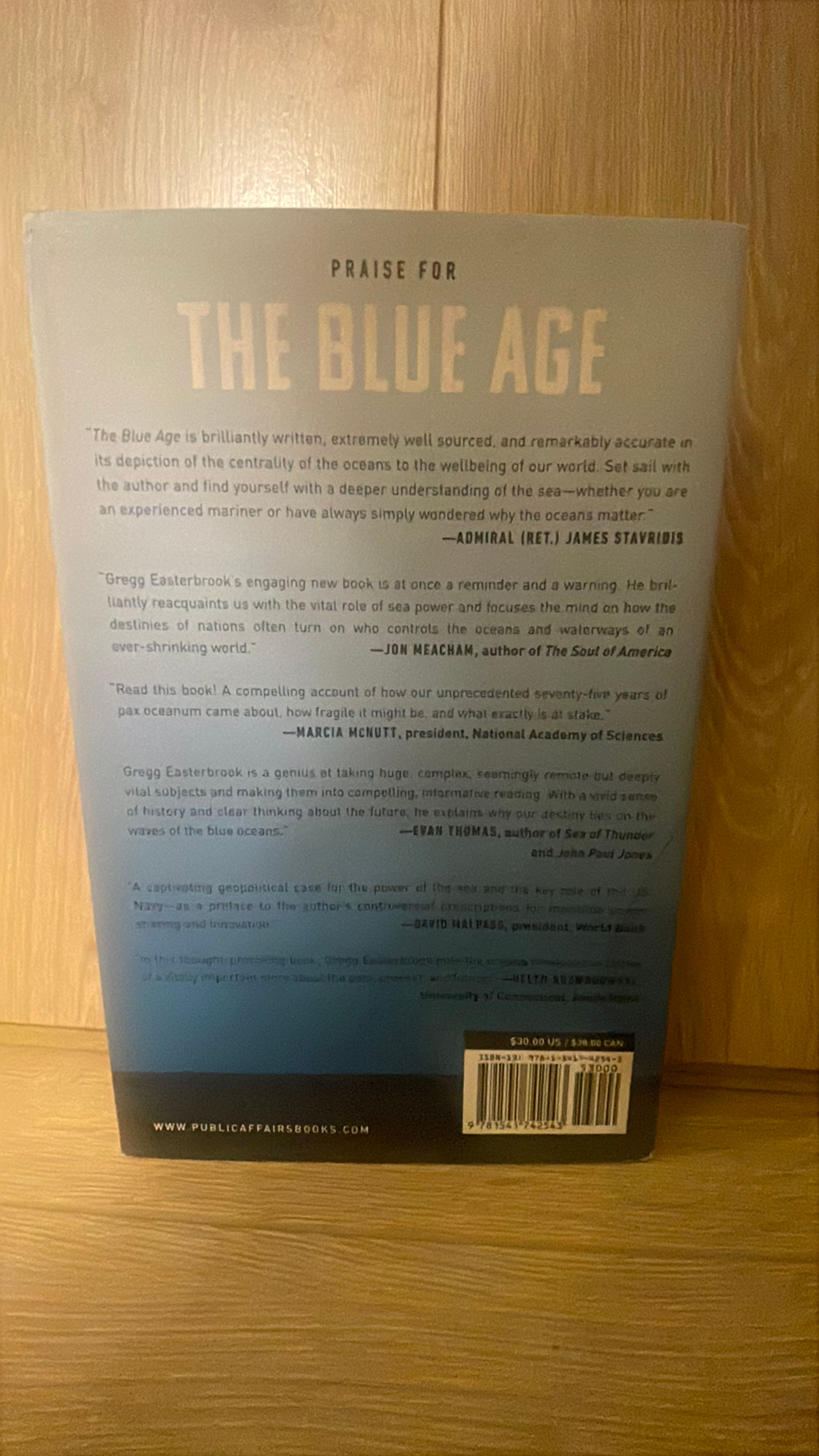 The Blue Age by Gregg Easterbrook - Image 2