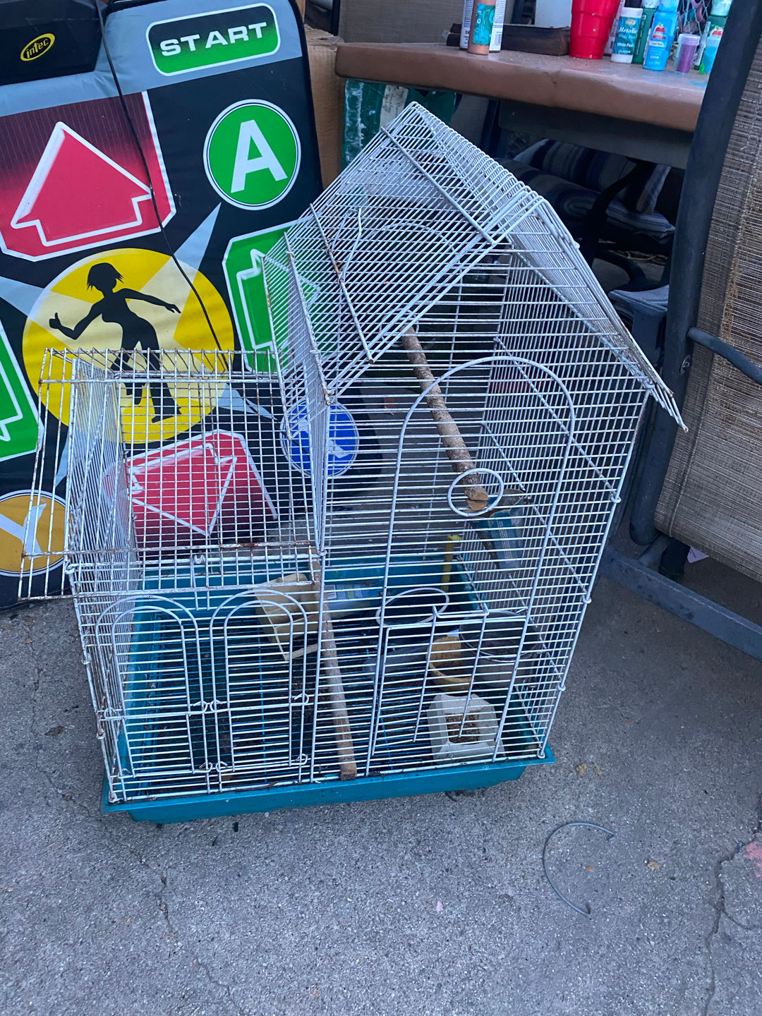Wire Bird Cage