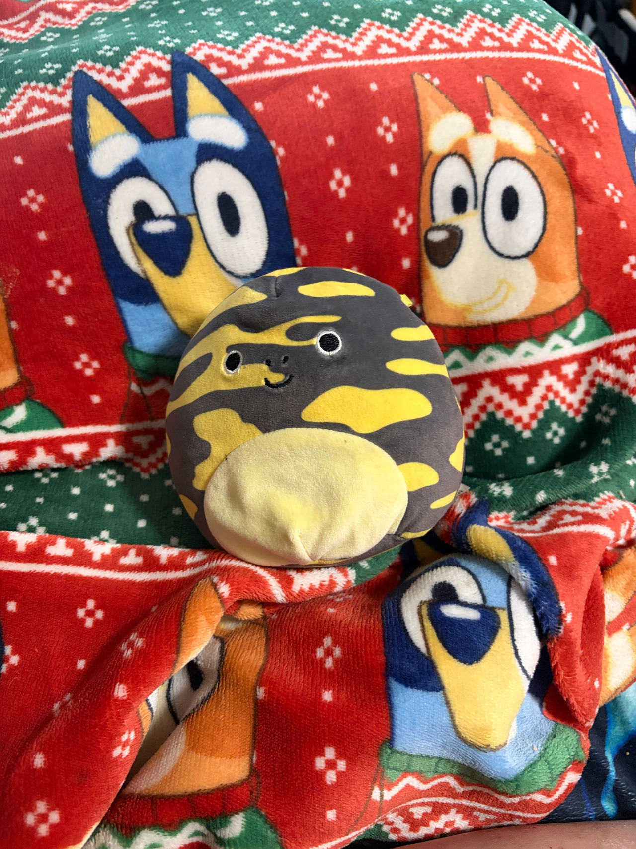 Squishmallows Tremaine the Tiger Salamander 5-inch Plush