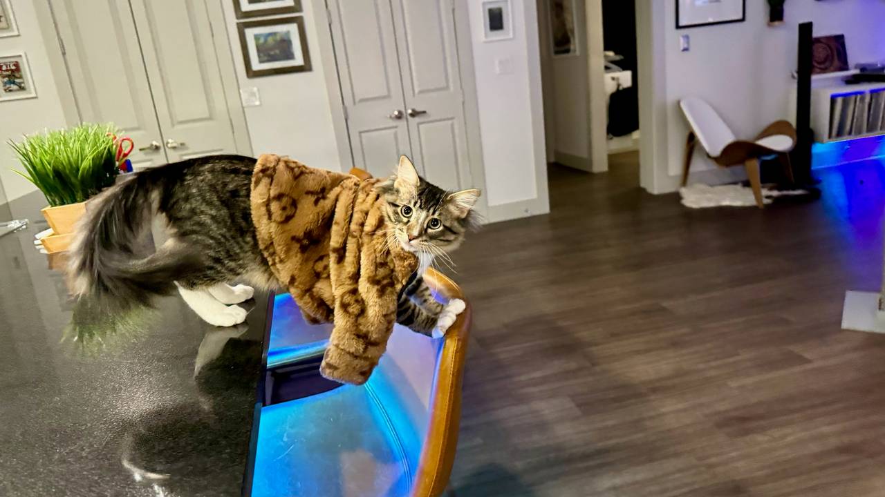 Monogram Faux Fur Pet Jacket (Replica)
