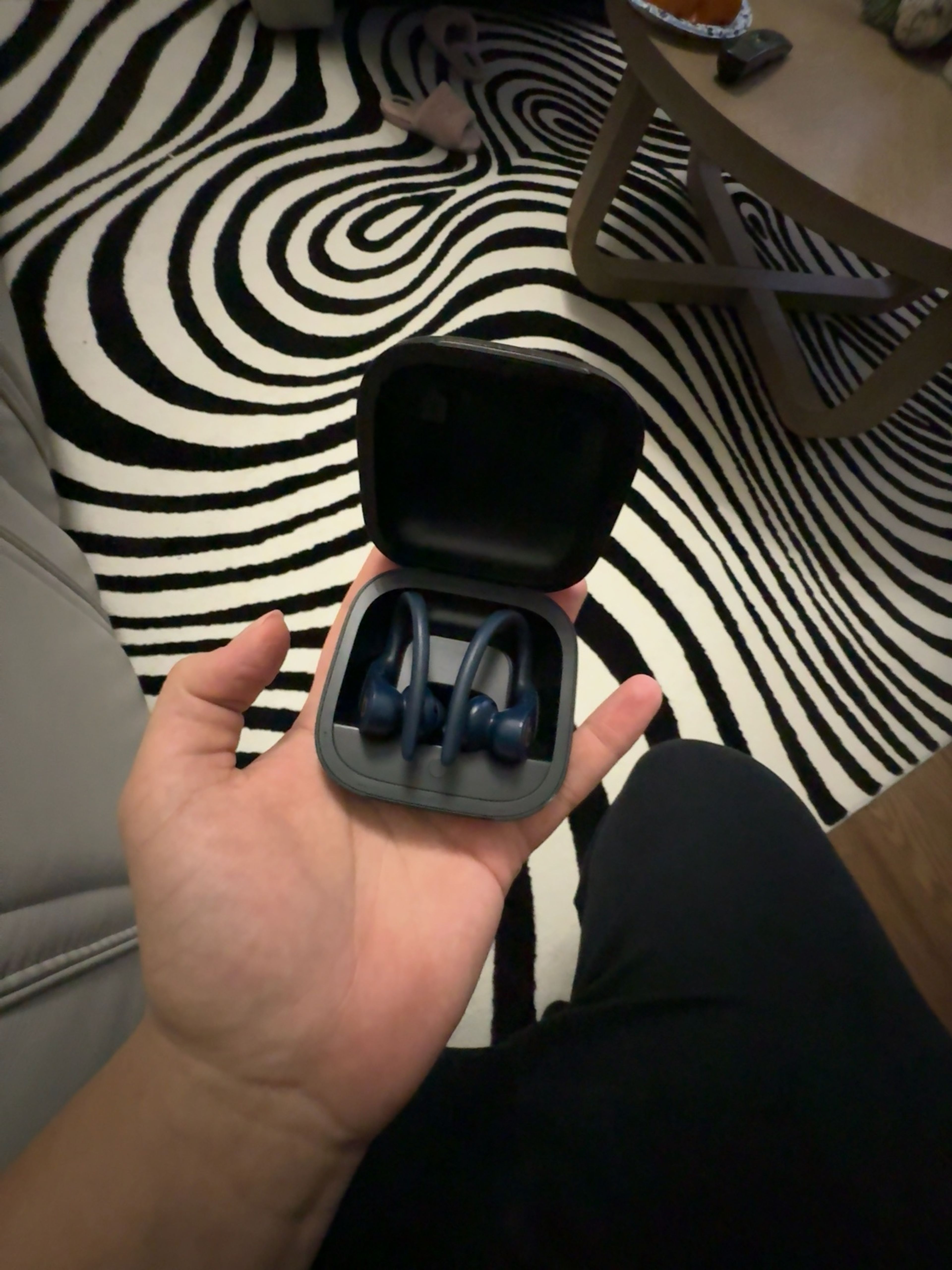 Beats Powerbeats Pro Wireless Earbuds – Navy