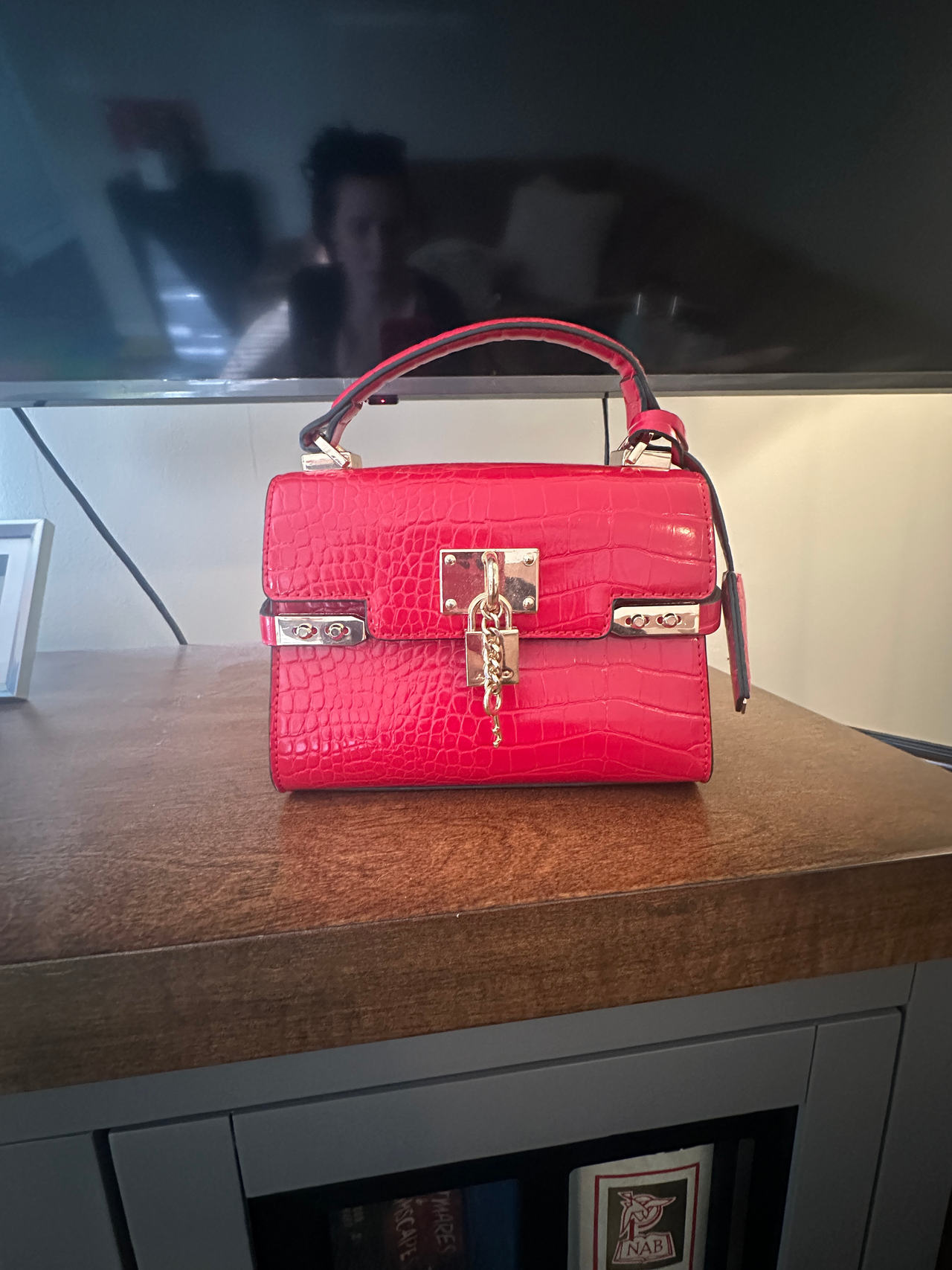 ALDO Hays Red Croc Embossed Satchel