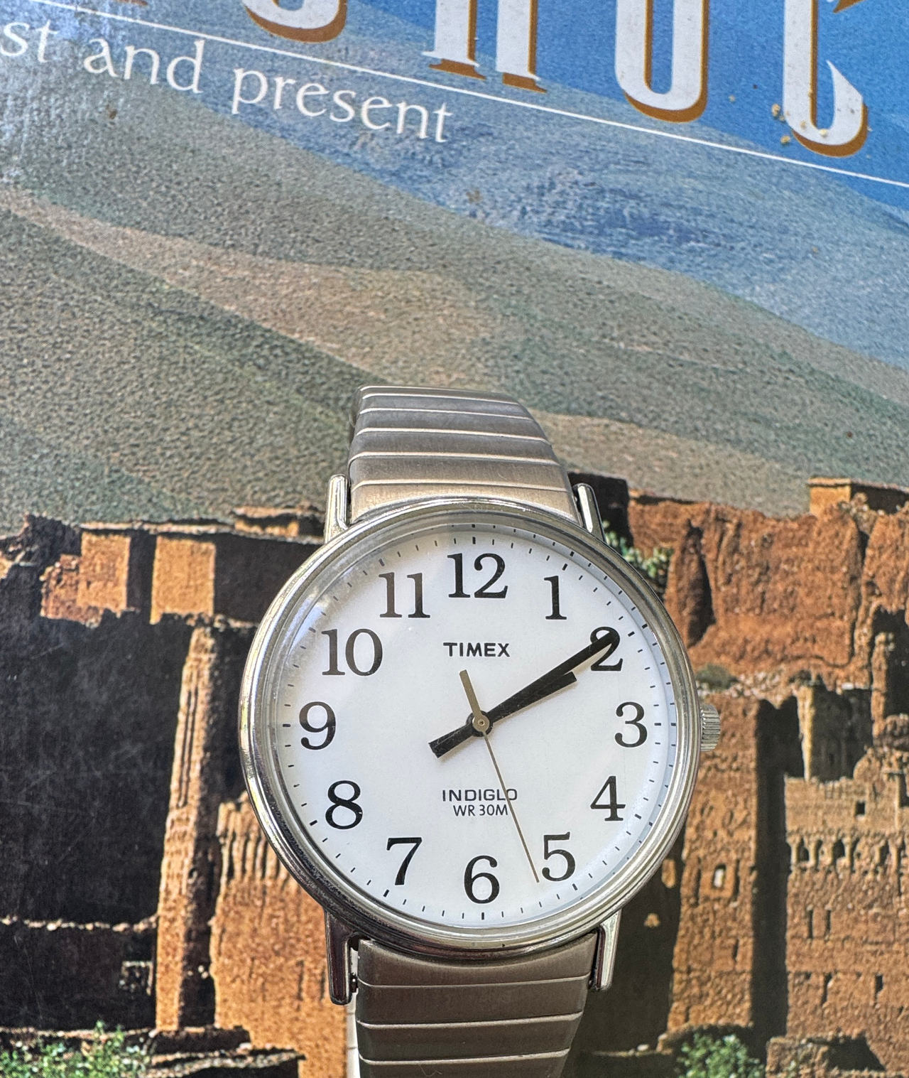 Timex Easy Reader Indiglo Watch