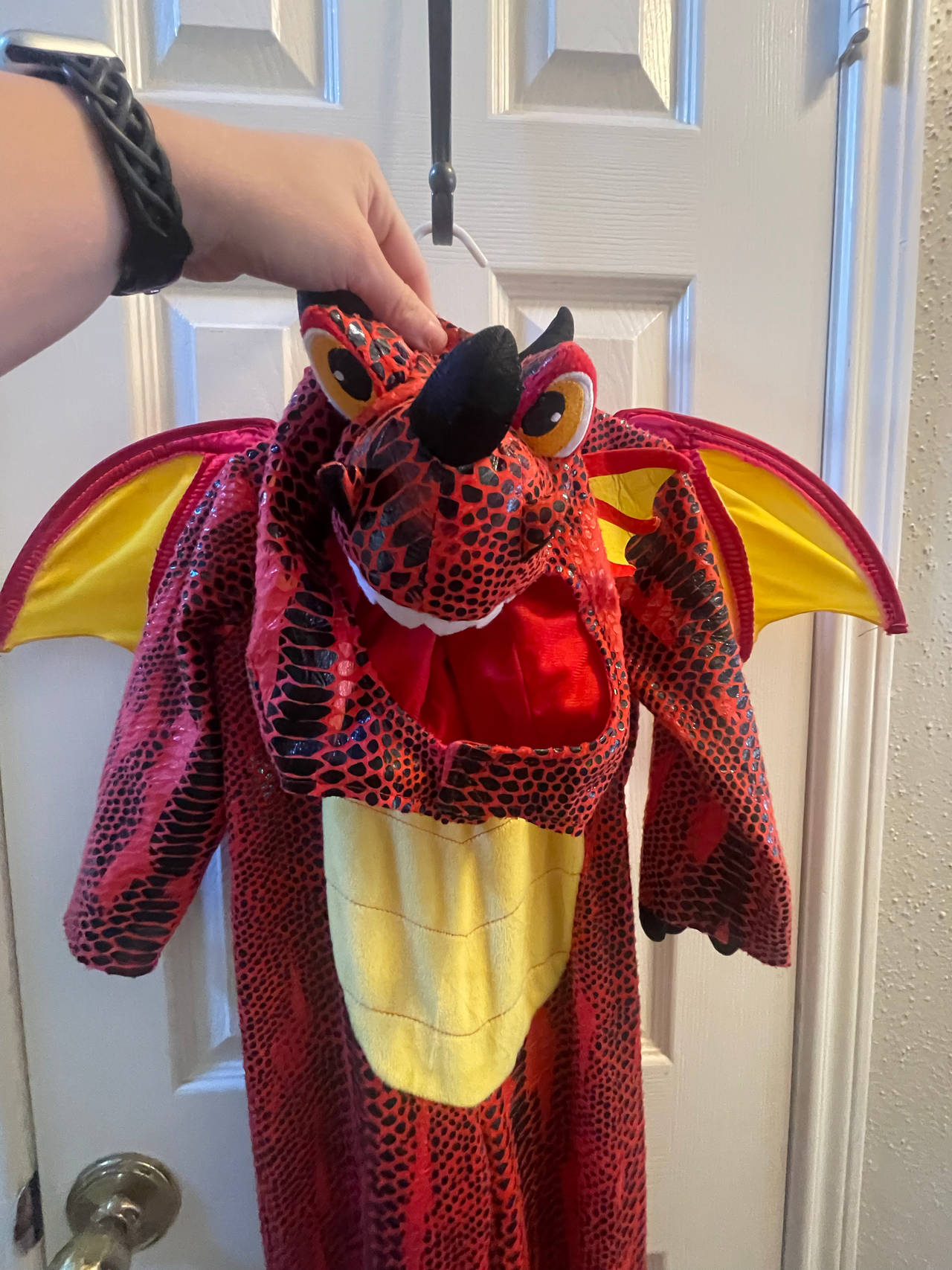 Kids Red Dragon Costume