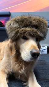 OnThePath Faux Fur Coonskin Hat - Image 3