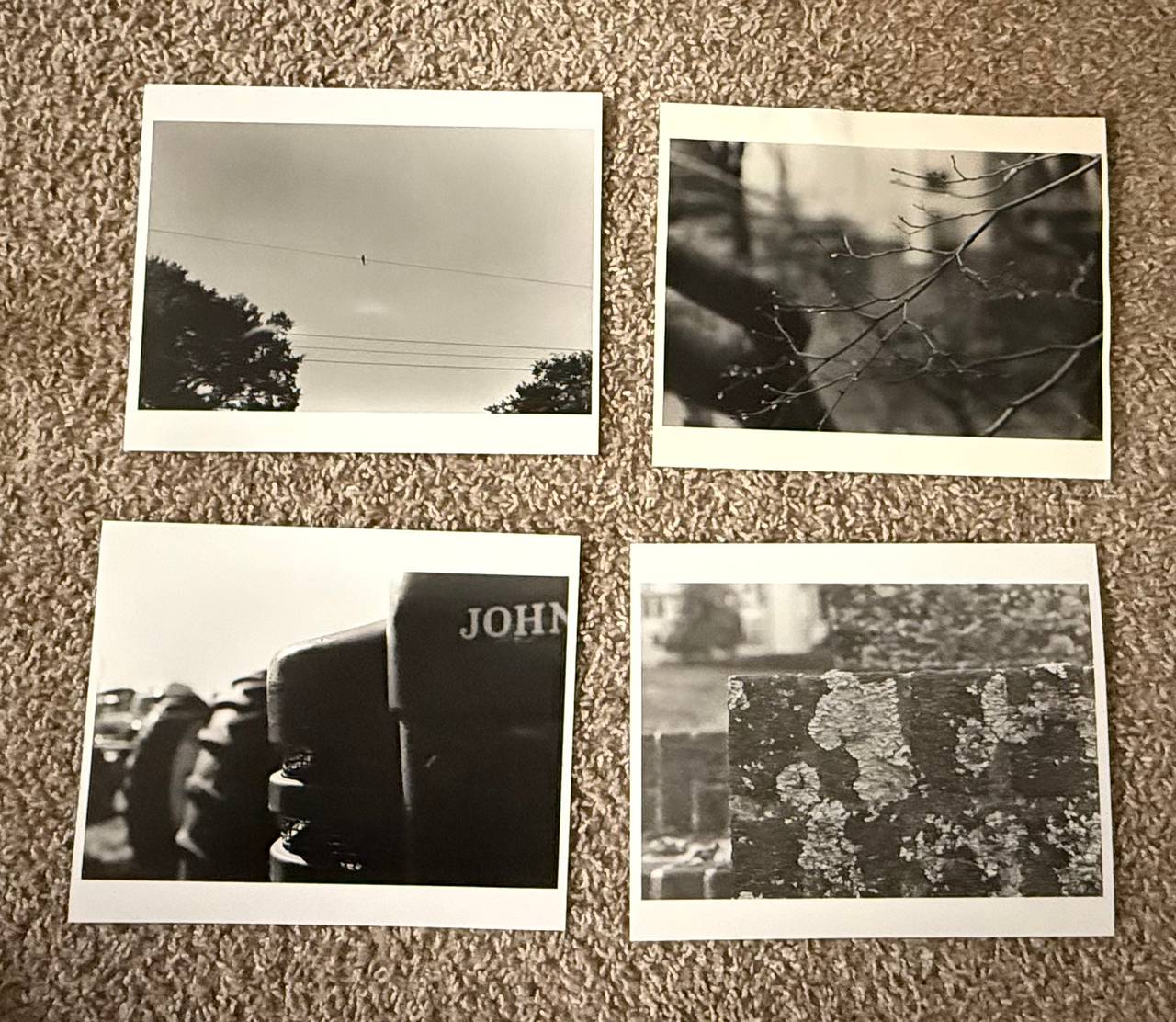 Black and White Art Photography Prints