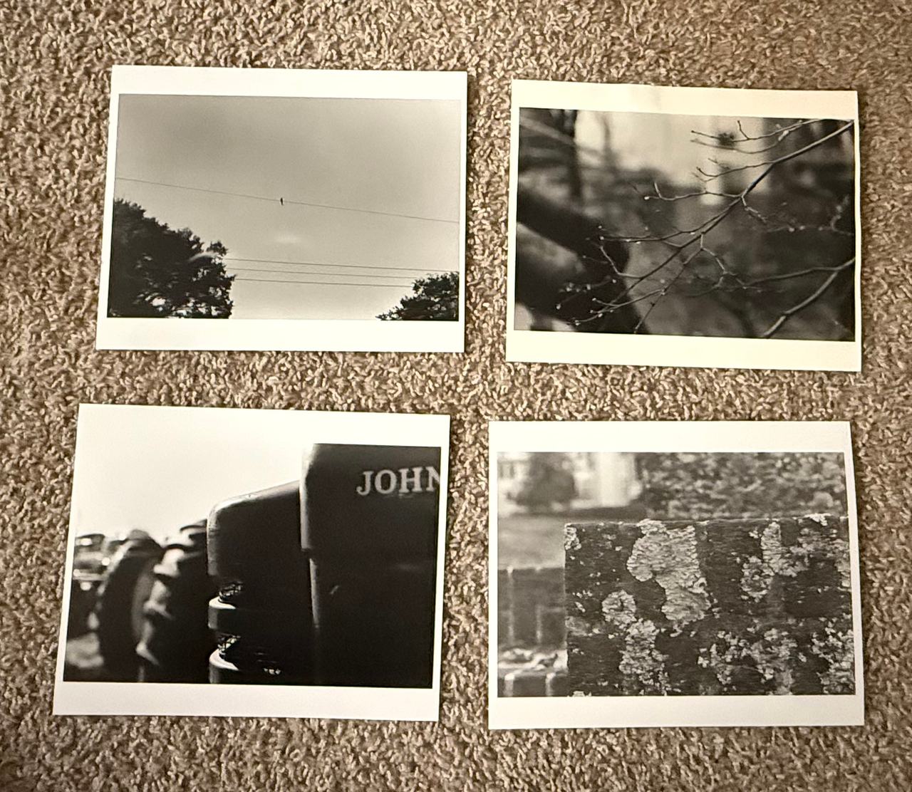 Black and White Art Photography Prints