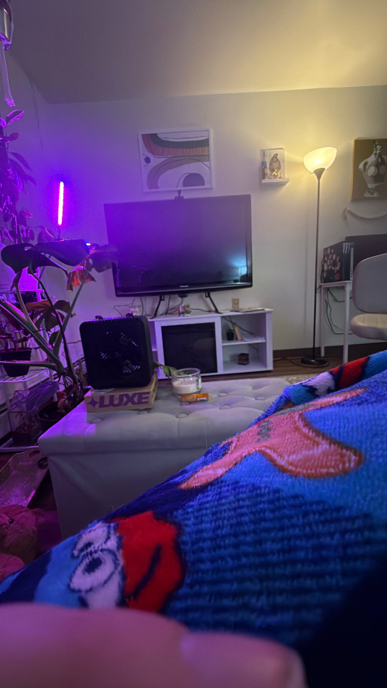LED Floor Lamp