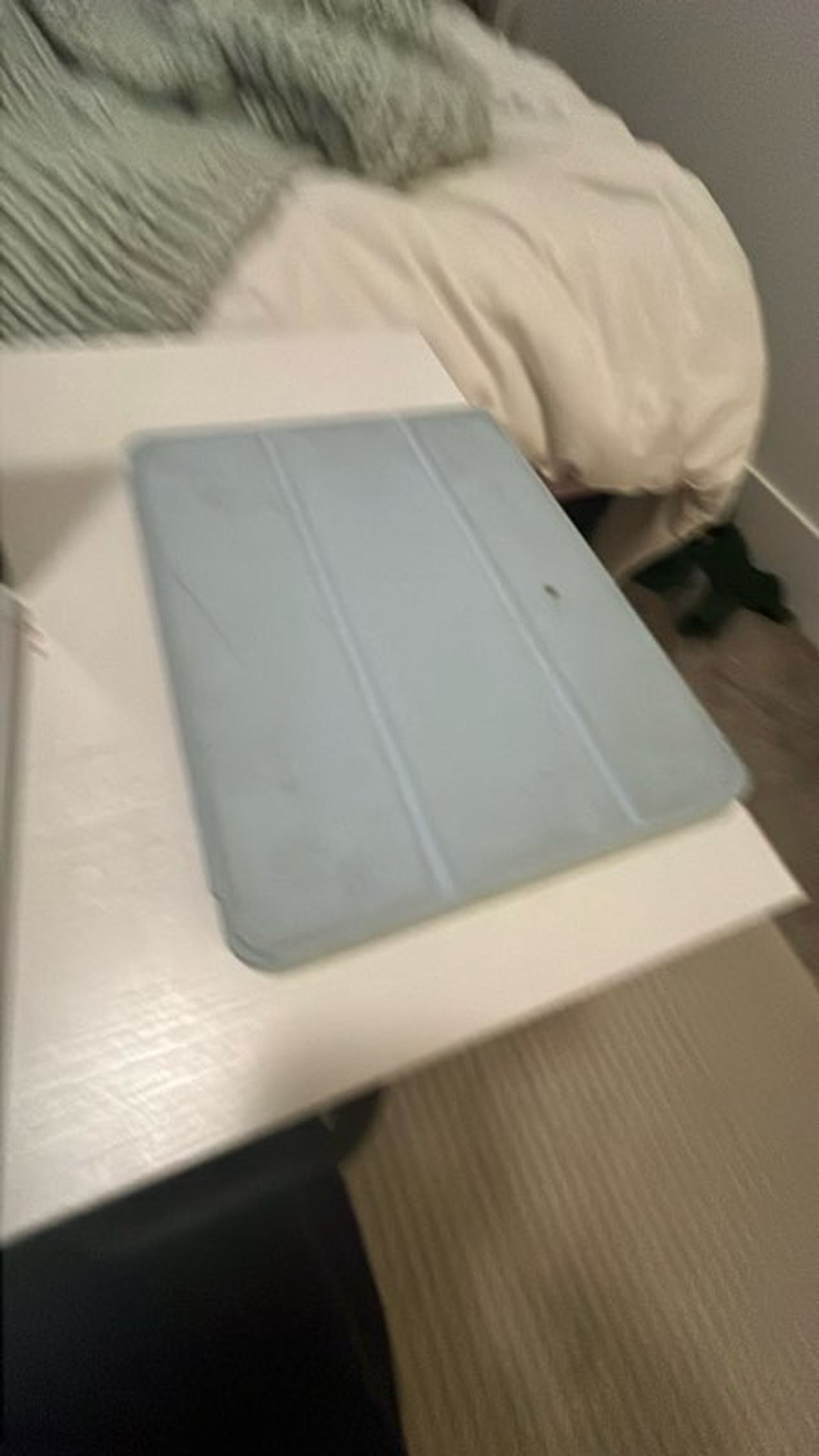 Apple iPad