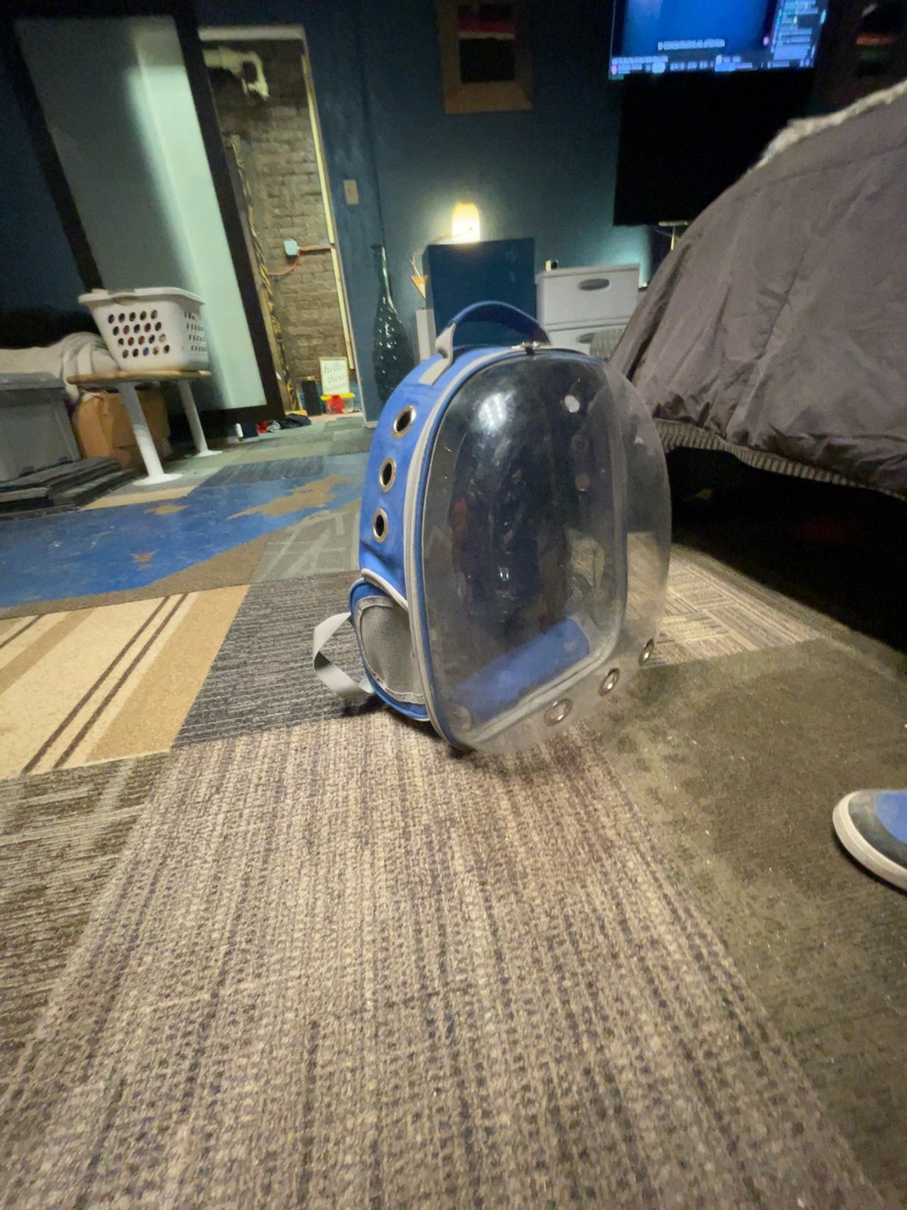 PROKEI Transparent Pet Carrier Backpack Blue