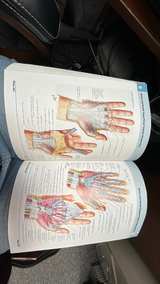Atlas of Human Anatomy by Frank H. Netter, MD (5th Edition) - Image 7
