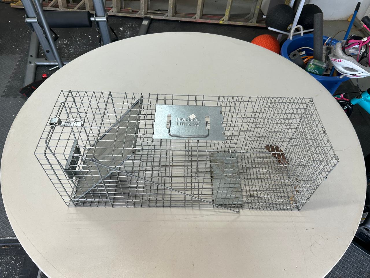 Havahart Live Animal Cage Trap