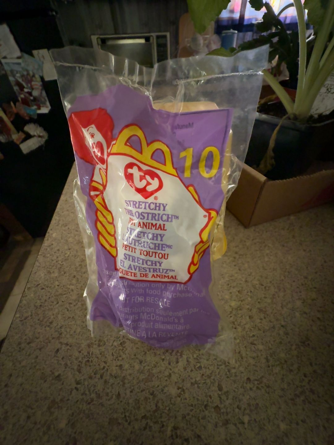 TY Stretchy the Ostrich Beanie Baby (1999)