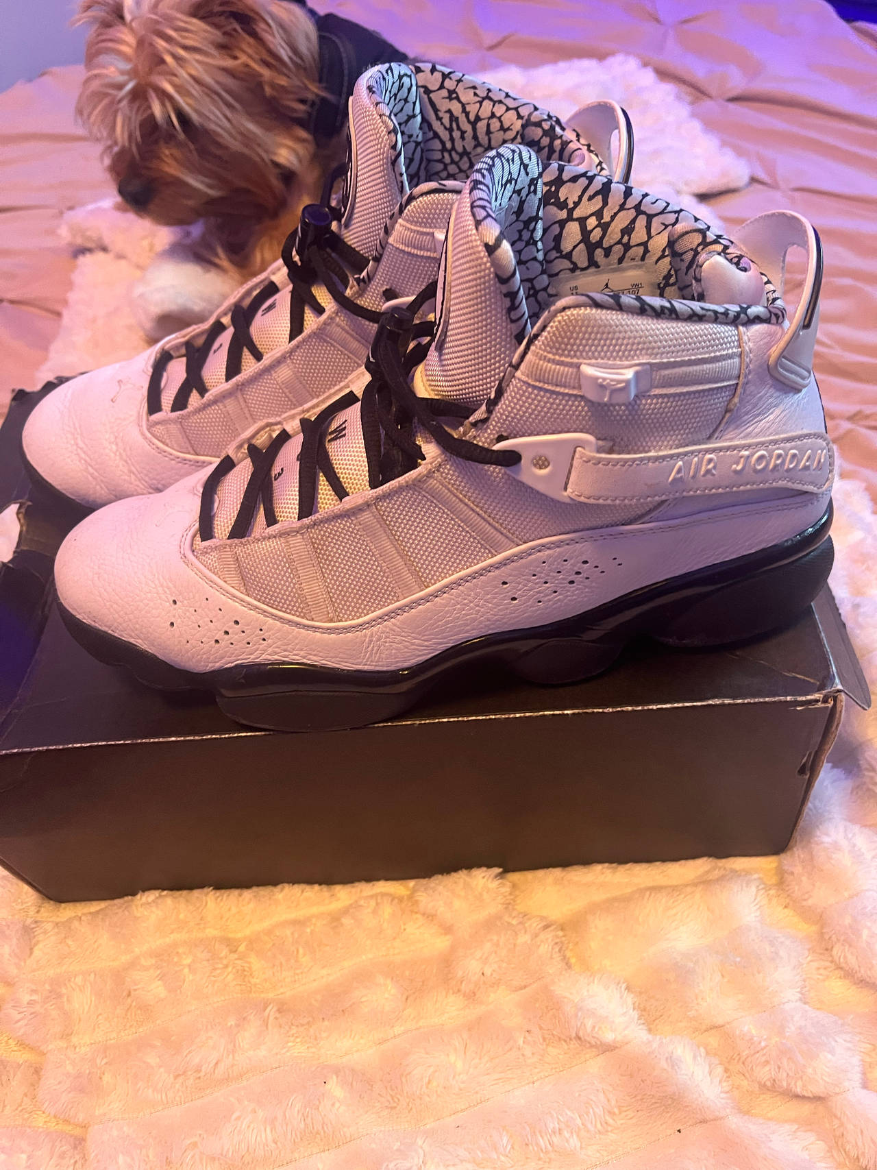 Air Jordan 6 Rings