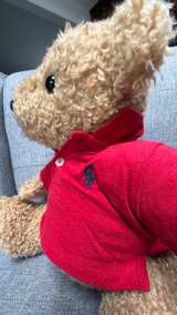 Ralph Lauren Polo Bear Plush - Image 3
