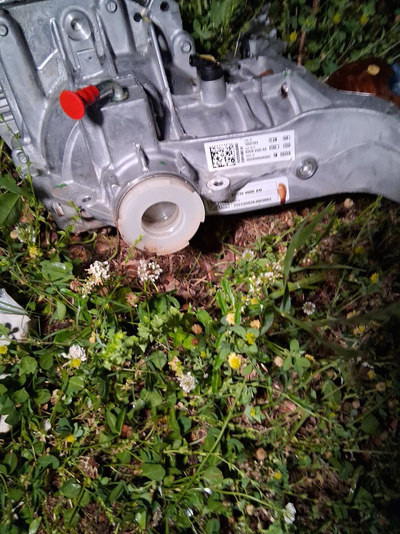 Mopar Rear Differential Drive Module
