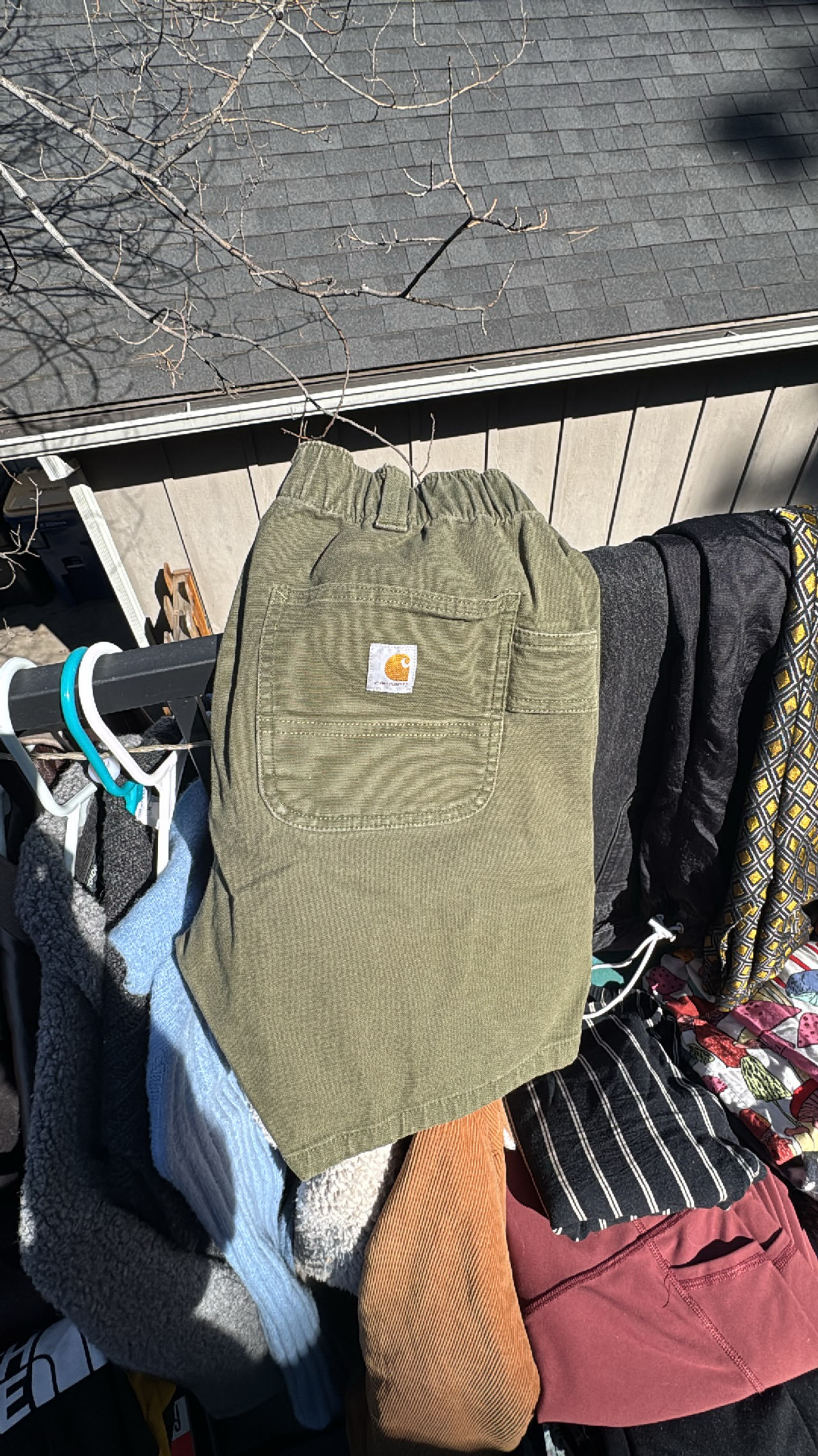 Carhartt Cargo Shorts
