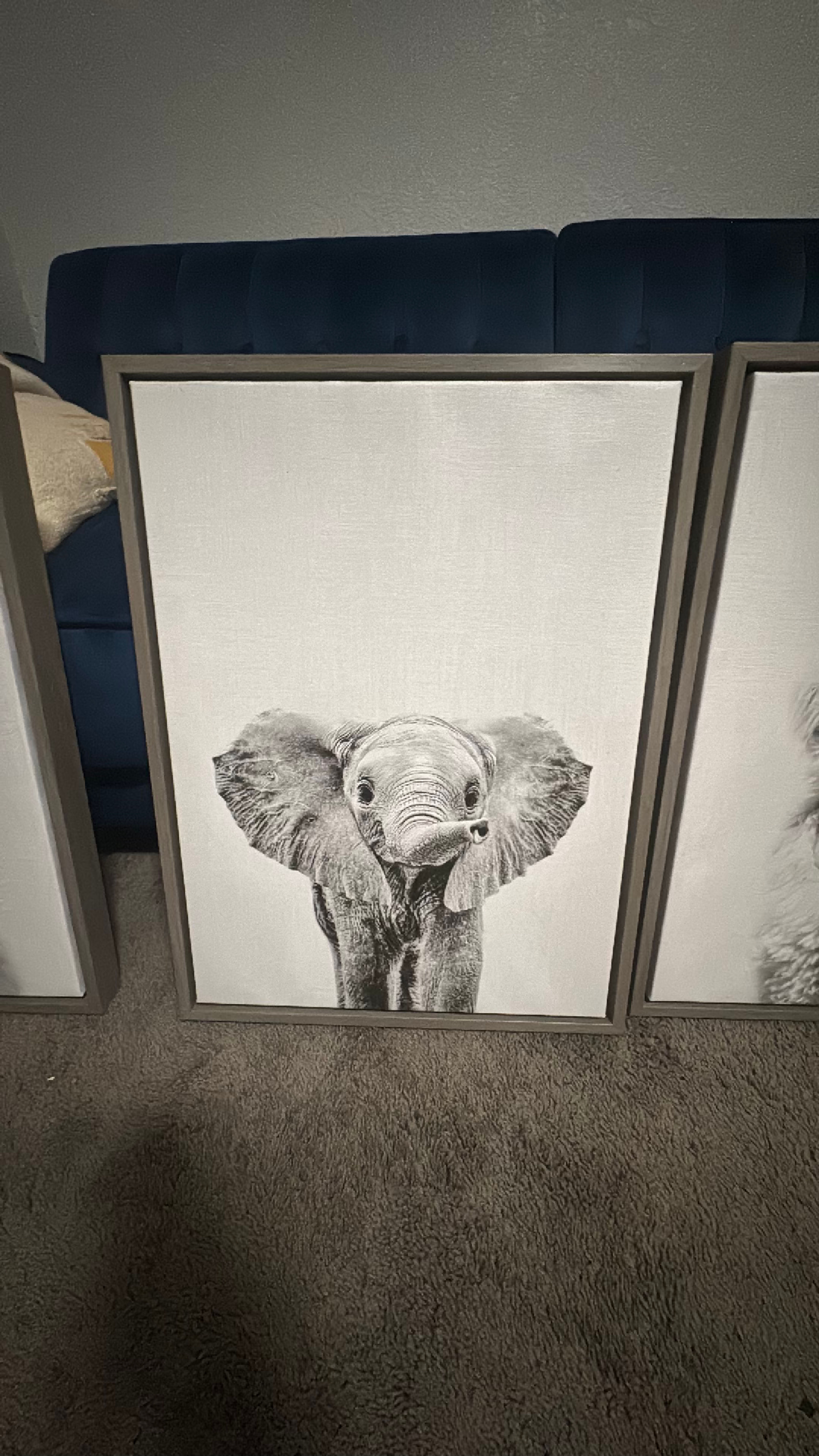 Framed Black and White Baby Animal Canvas Art Set of 4 - Image 3