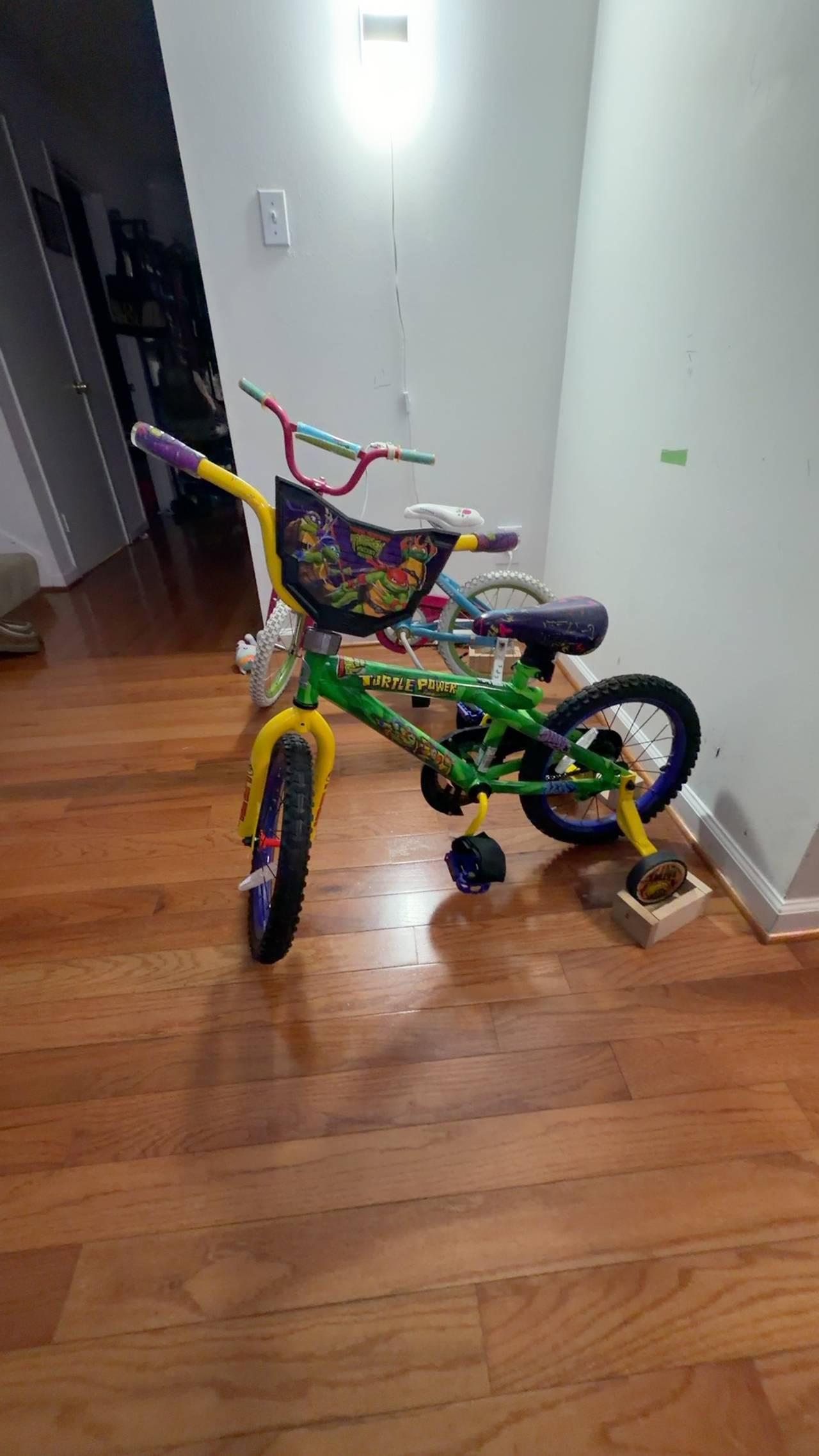 Dynacraft Teenage Mutant Ninja Turtles 16-Inch Kids Bike - Dark Green