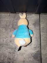 Kids Preferred Peter Rabbit Plush Toy - Image 3