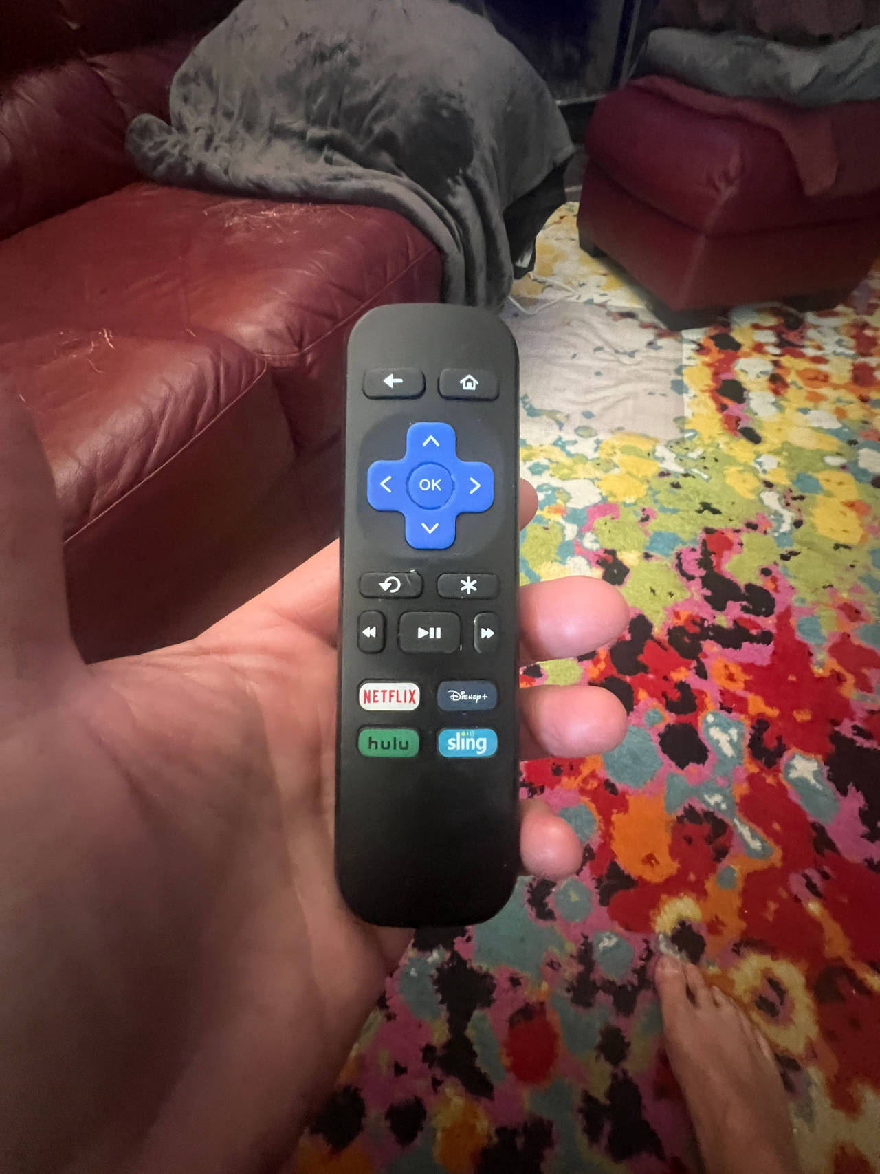 Roku Remote