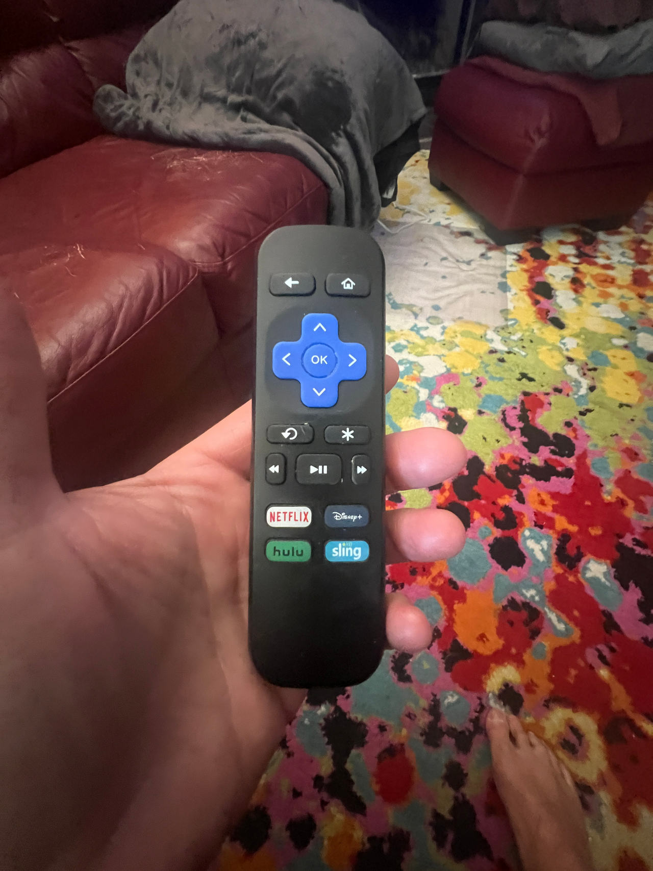 Roku Remote