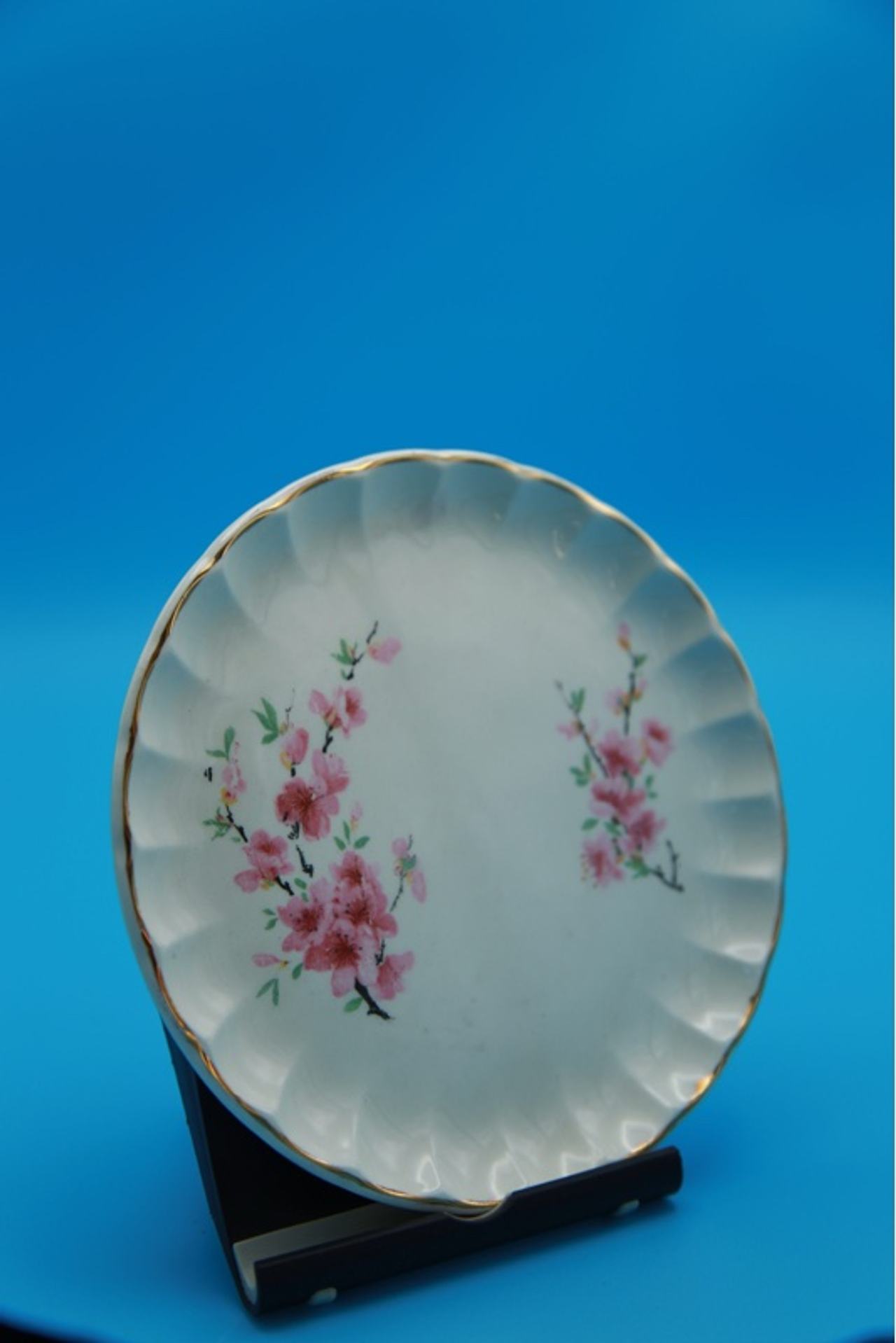 W.S. George Bolero Peach Blossom Dinner Plate