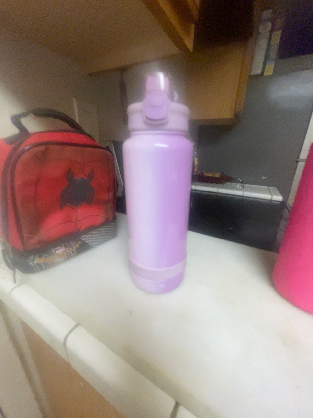 Ruhiku Stainless Steel Insulated Cup 1000ml Purple with Straw