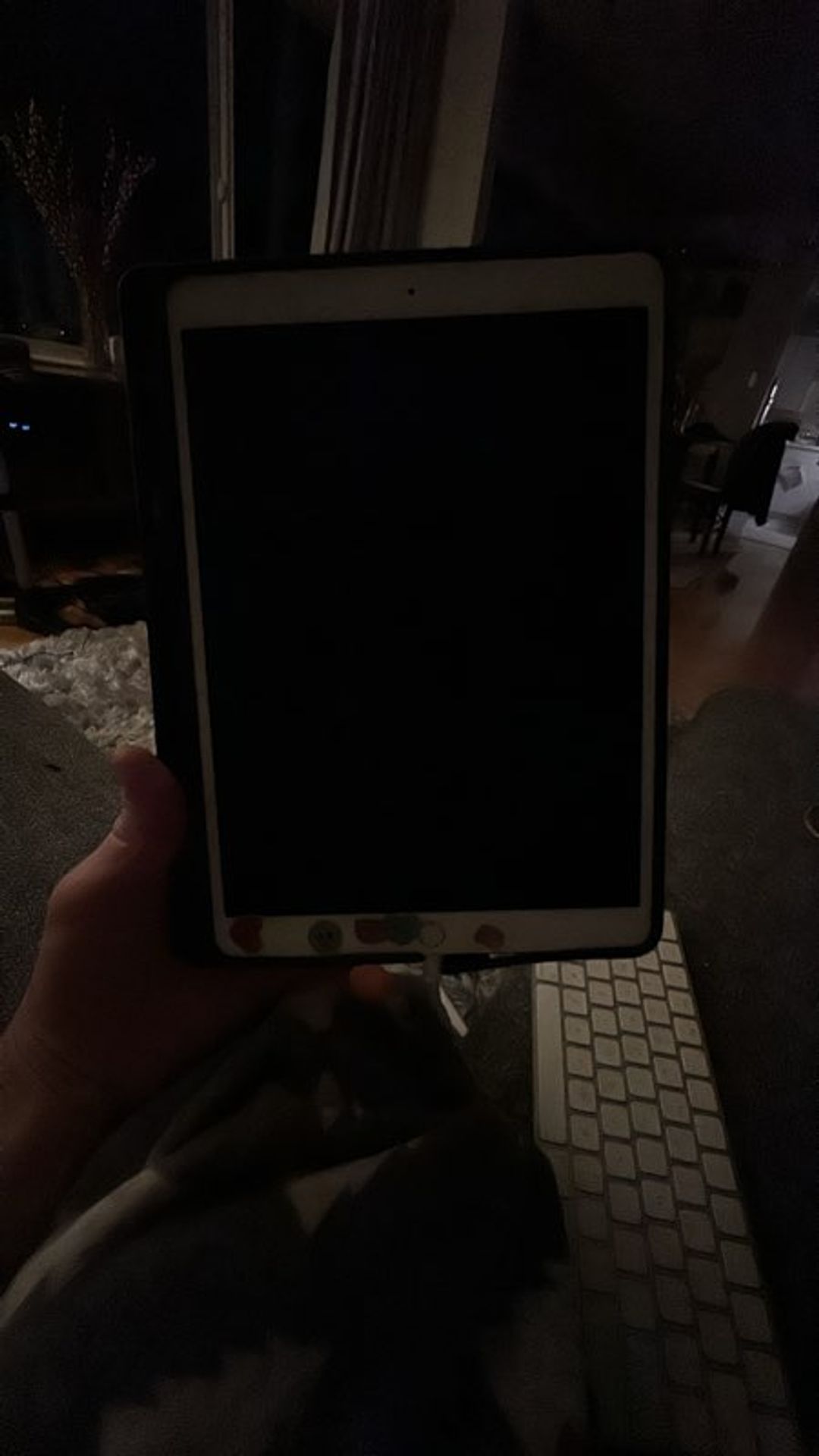 Apple iPad Pro