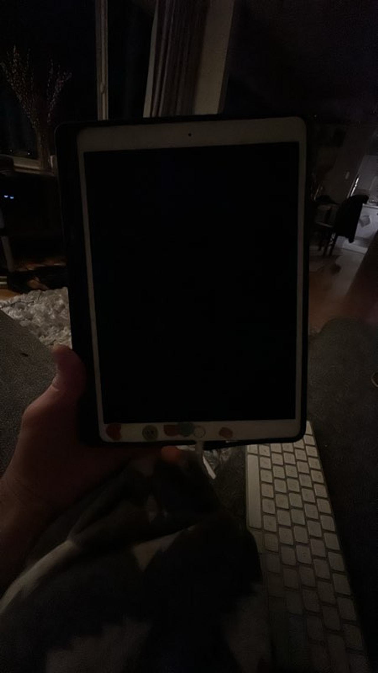 Apple iPad Pro