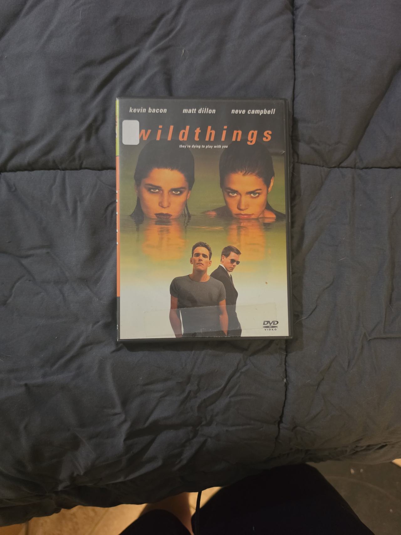 Wild Things (DVD, 1998)
