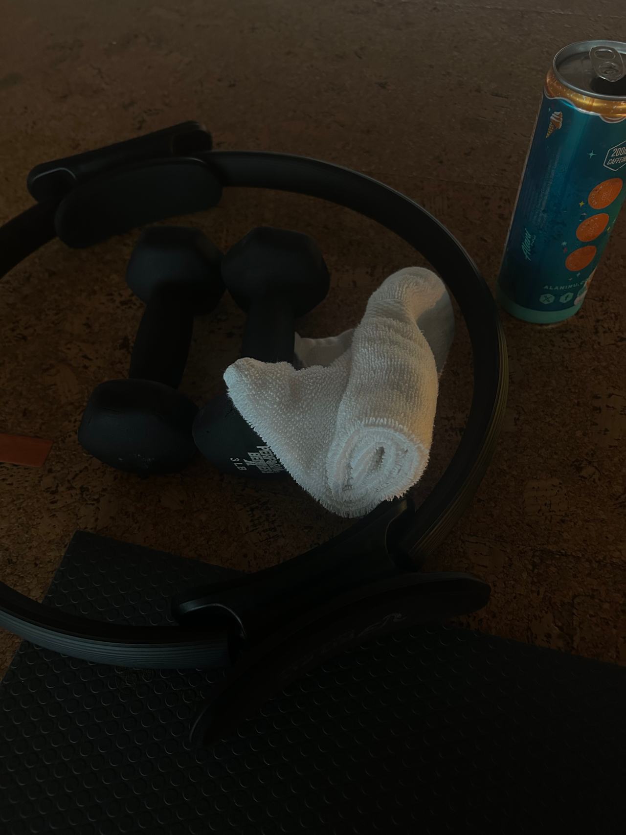 Pilates Ring