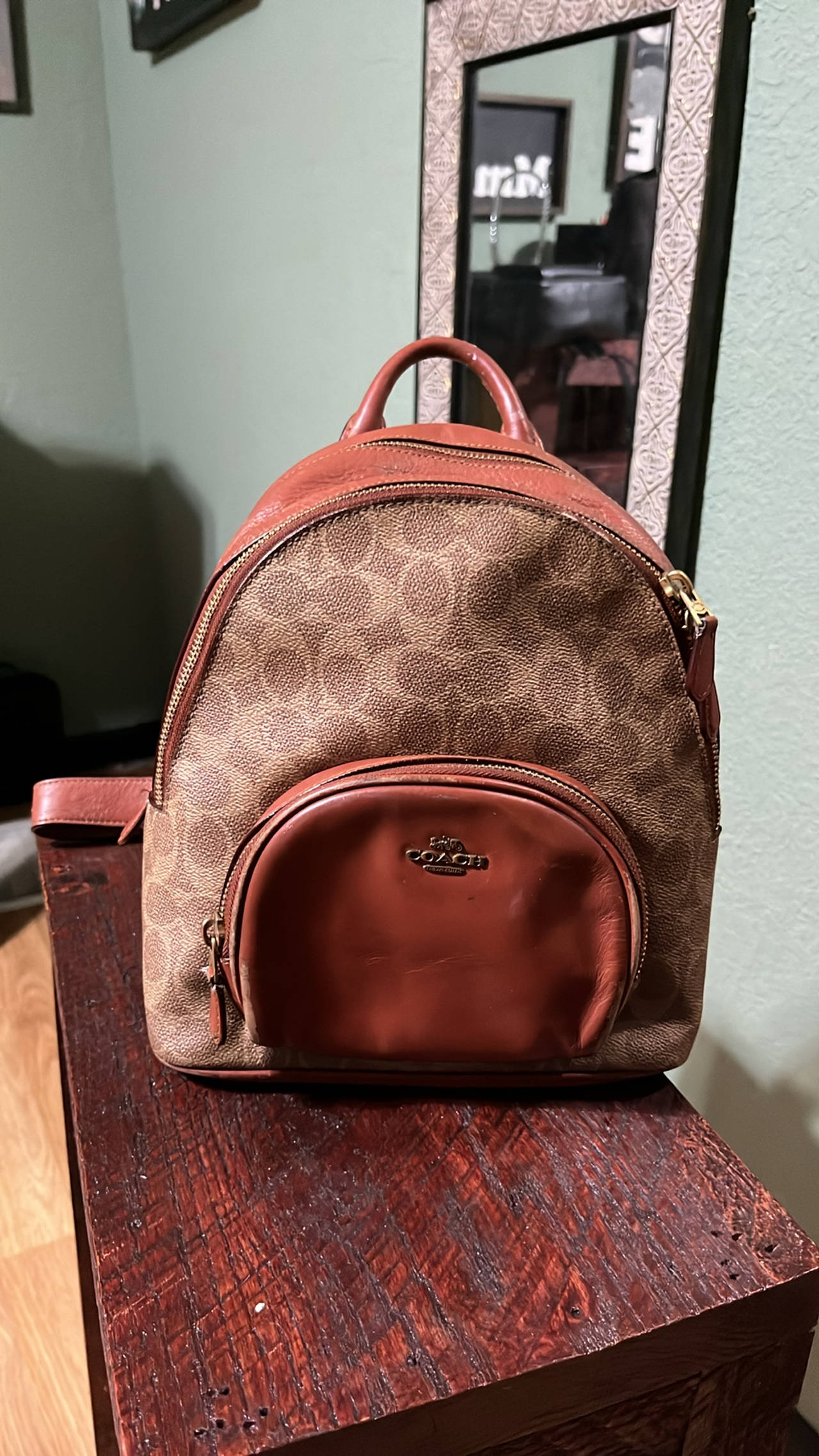 Coach Mini Backpack