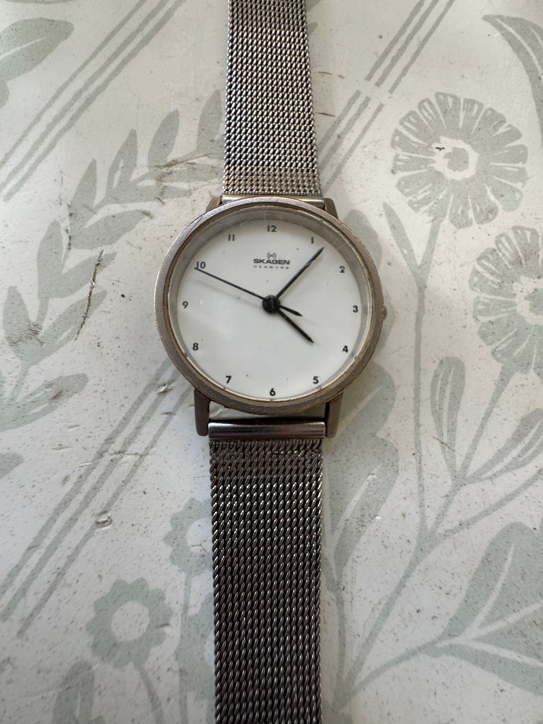 Skagen Men's Mesh Watch