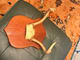 Vintage Deer Antlers Wall Mount on Wood Plaque - Image 6