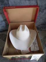 Stetson D4 Ranch Tan Cowboy Hat - Image 4