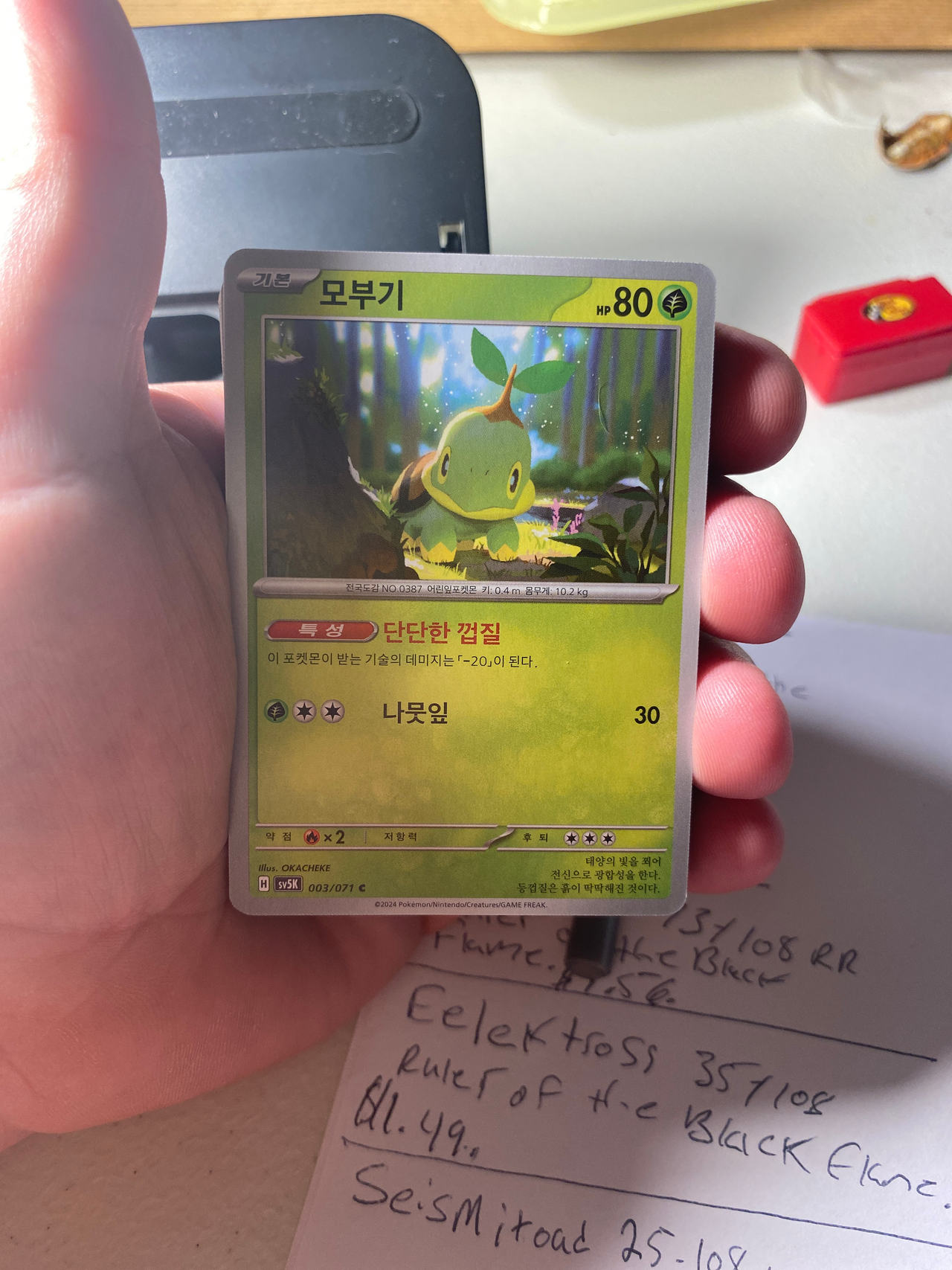 Turtwig Pokémon Card (Korean)