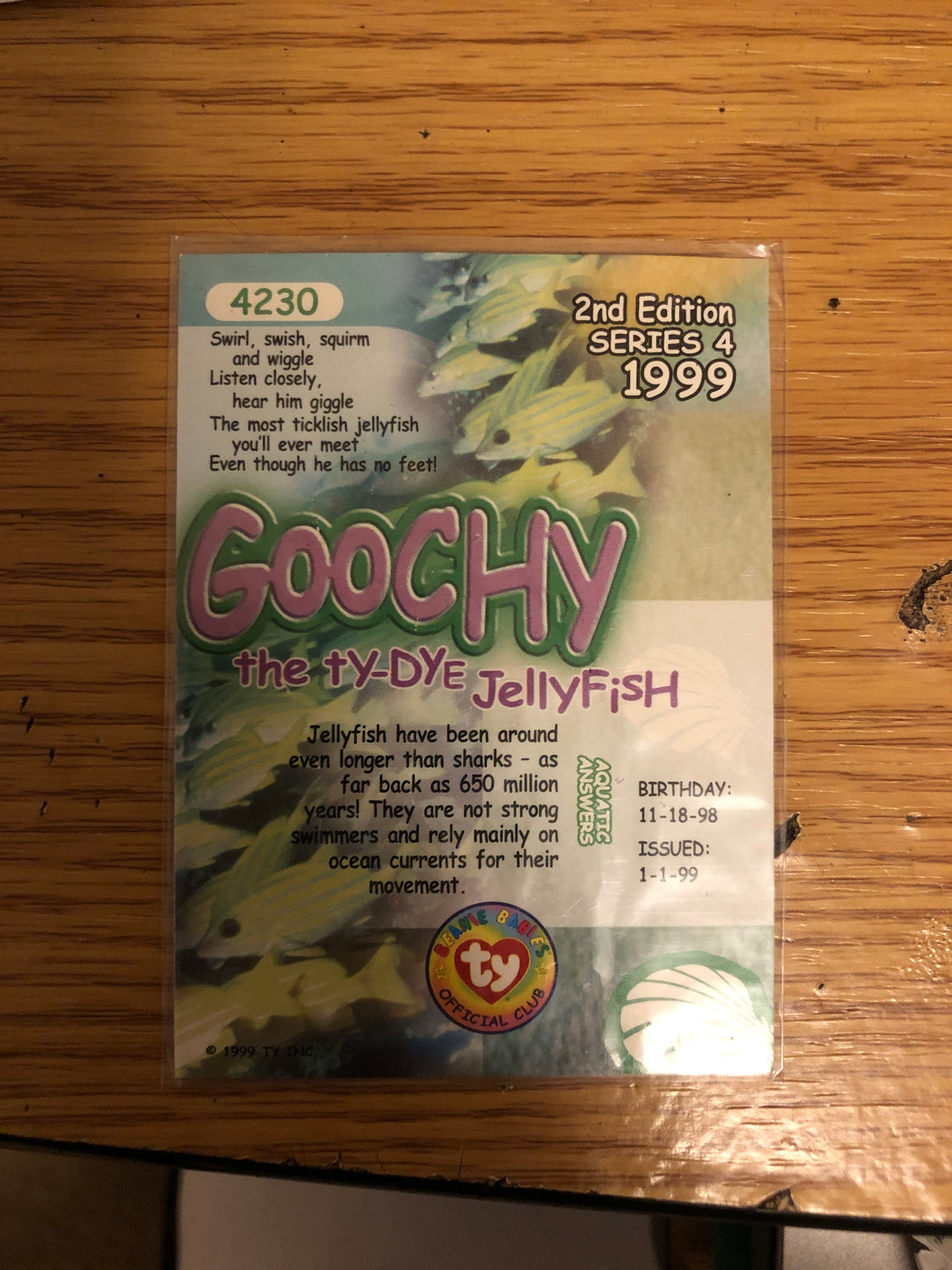 Goochy the Ty-Dye Jellyfish Beanie Baby