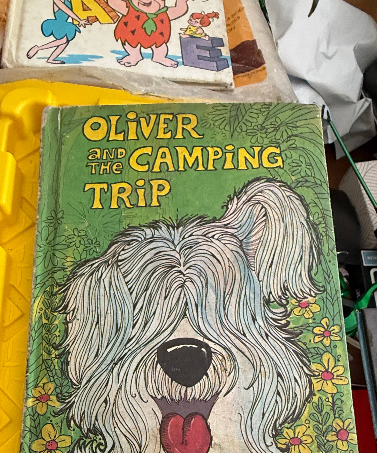 Oliver and the Camping Trip by Jane Belk Moncure