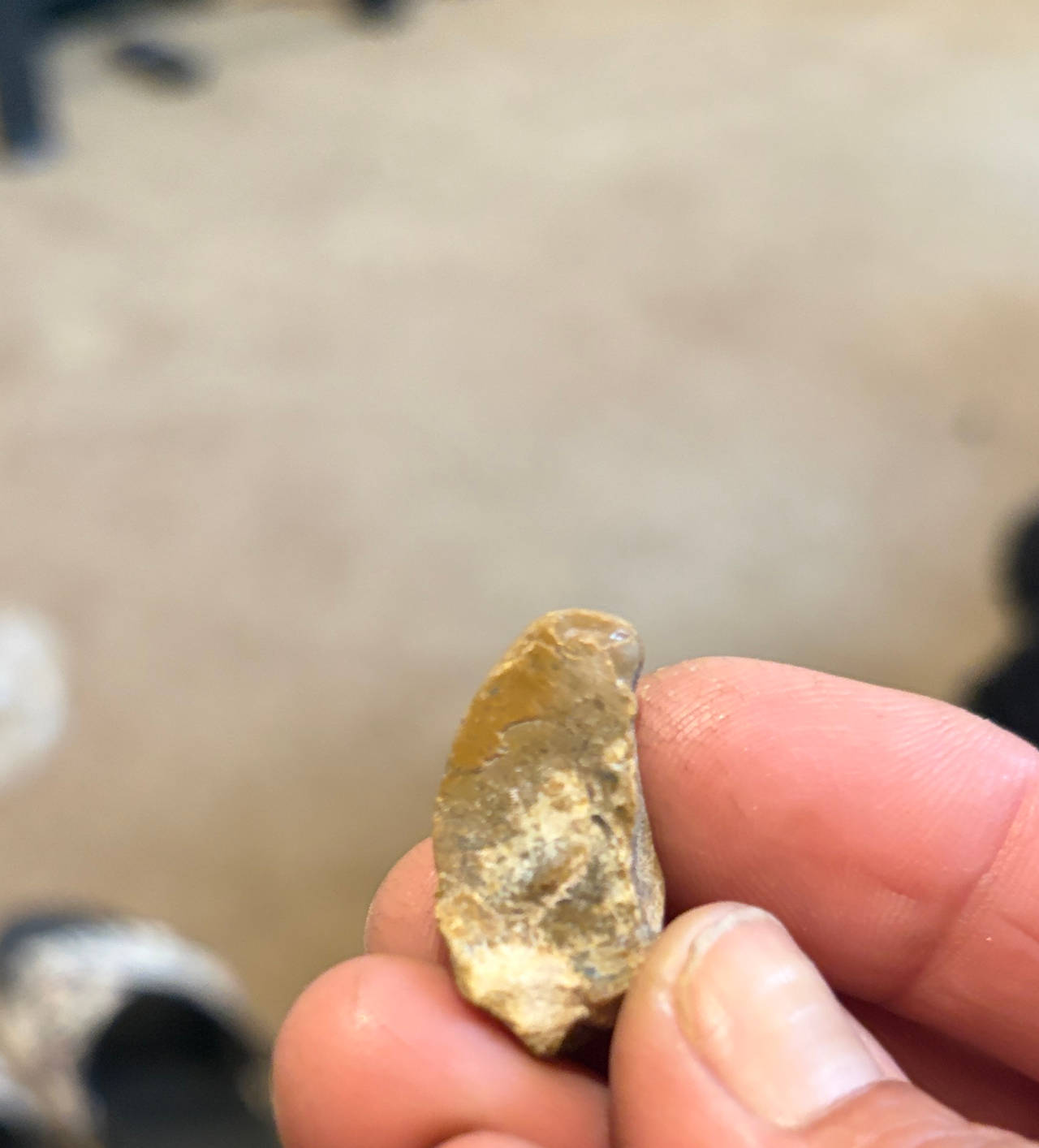 Native American Stone Scraper Artifact