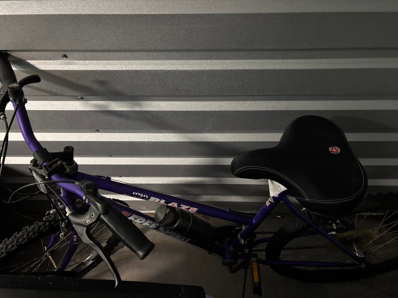Free Spirit Blaze Mountain Bike
