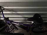 Free Spirit Blaze Mountain Bike - Image 1
