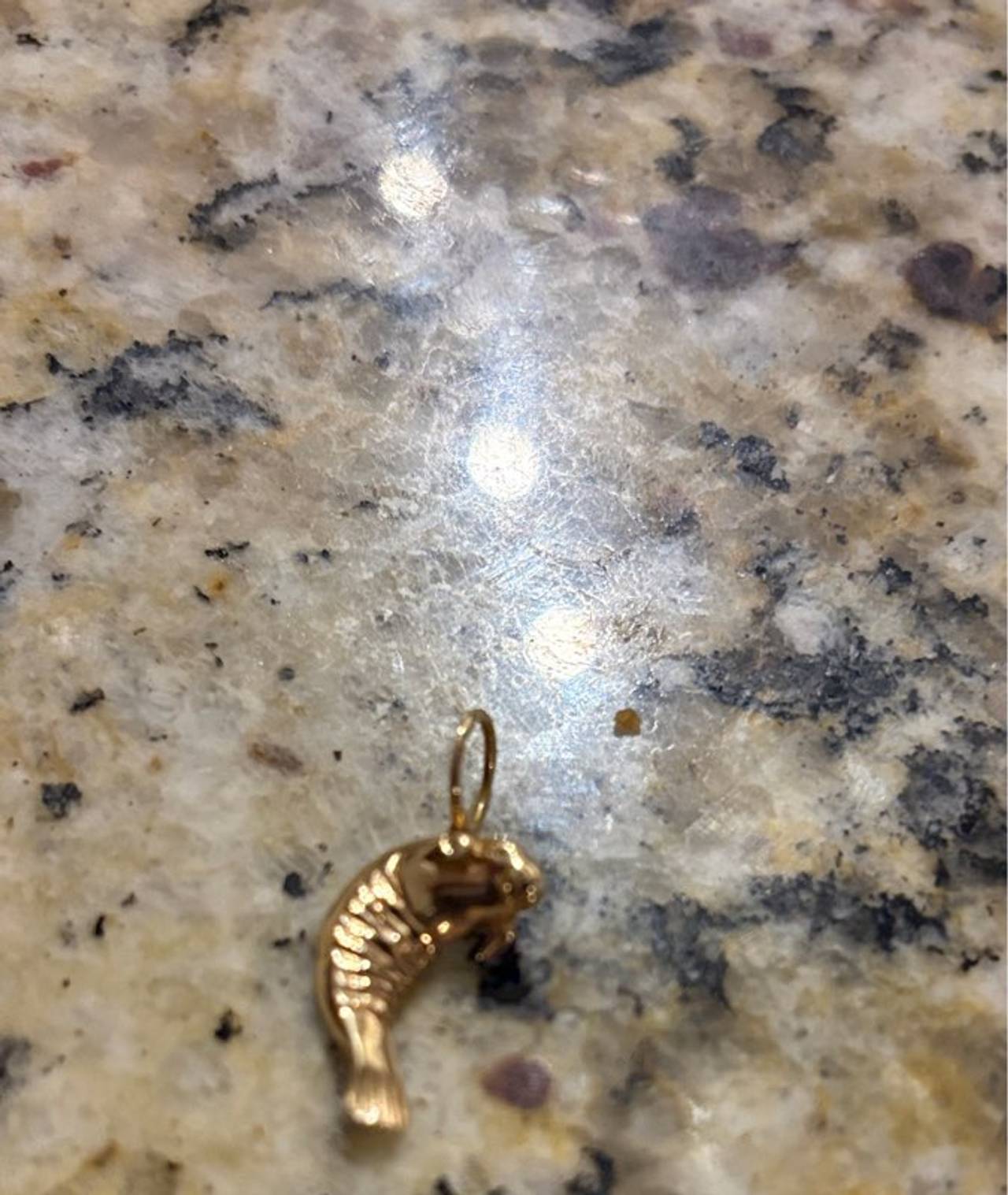 14k Yellow Gold Manatee Pendant Charm Natural Sea Shell Gold Rim Pendant