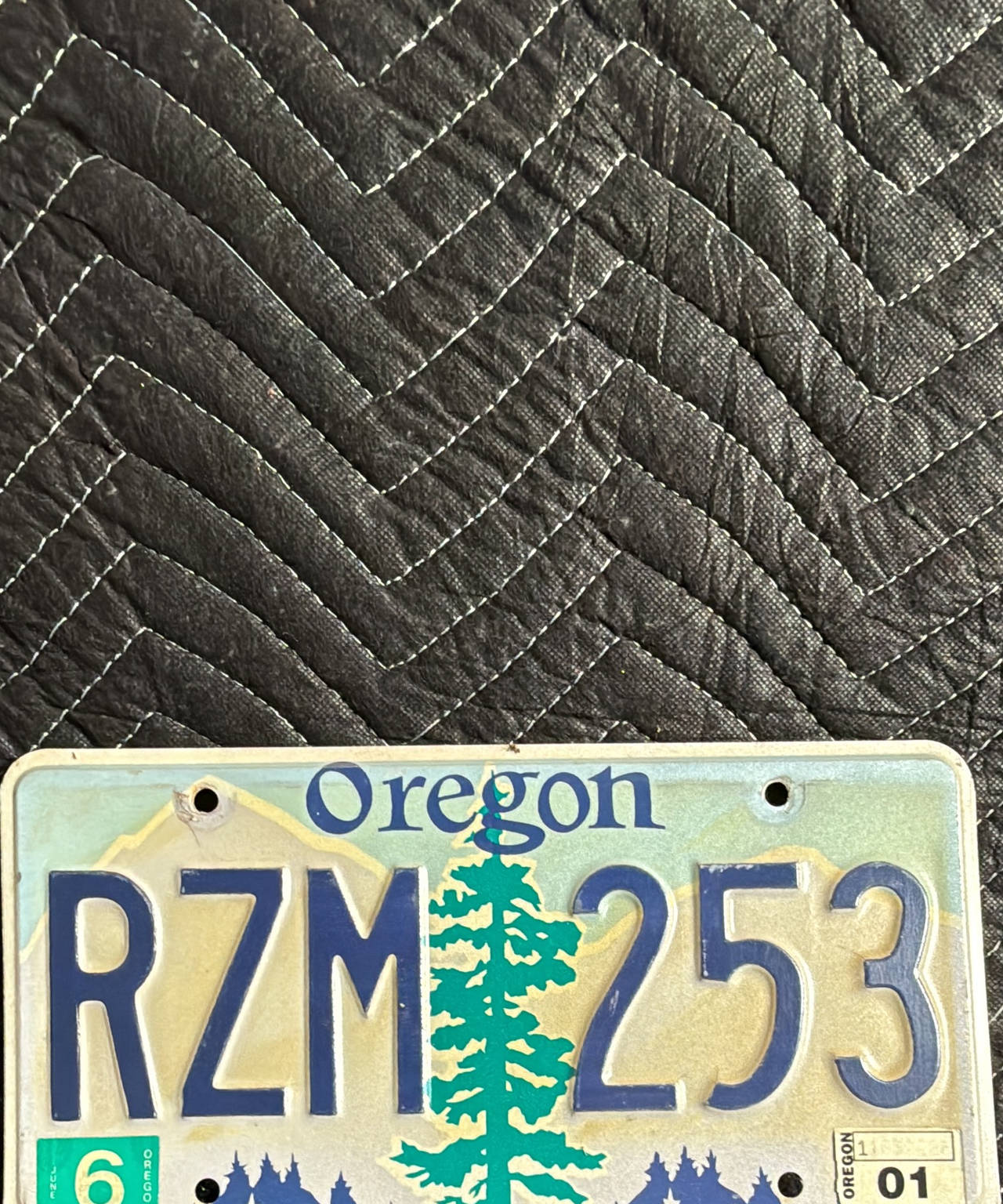 Oregon Graphic License Plate RZM 253