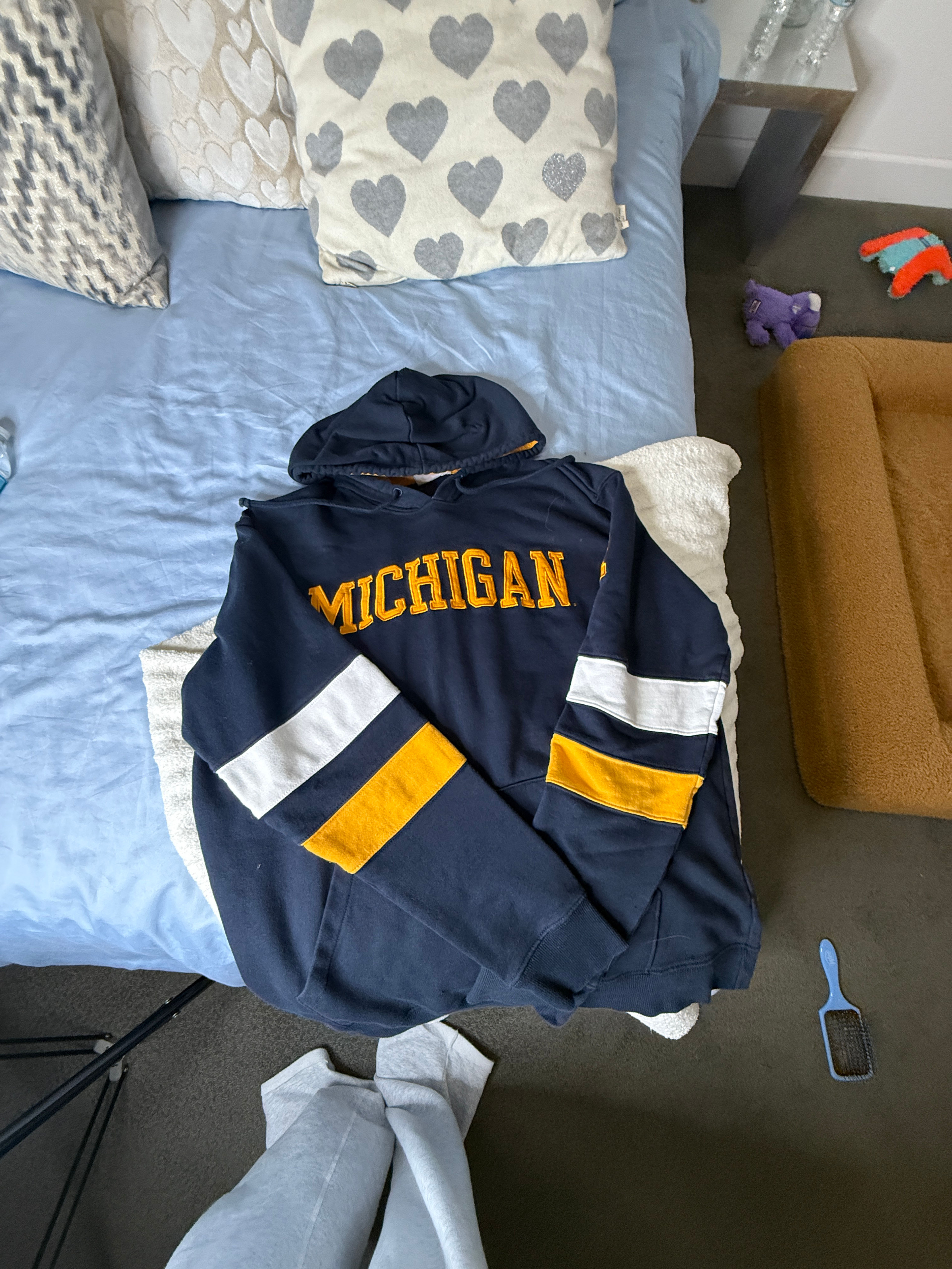 University of Michigan Hoodie