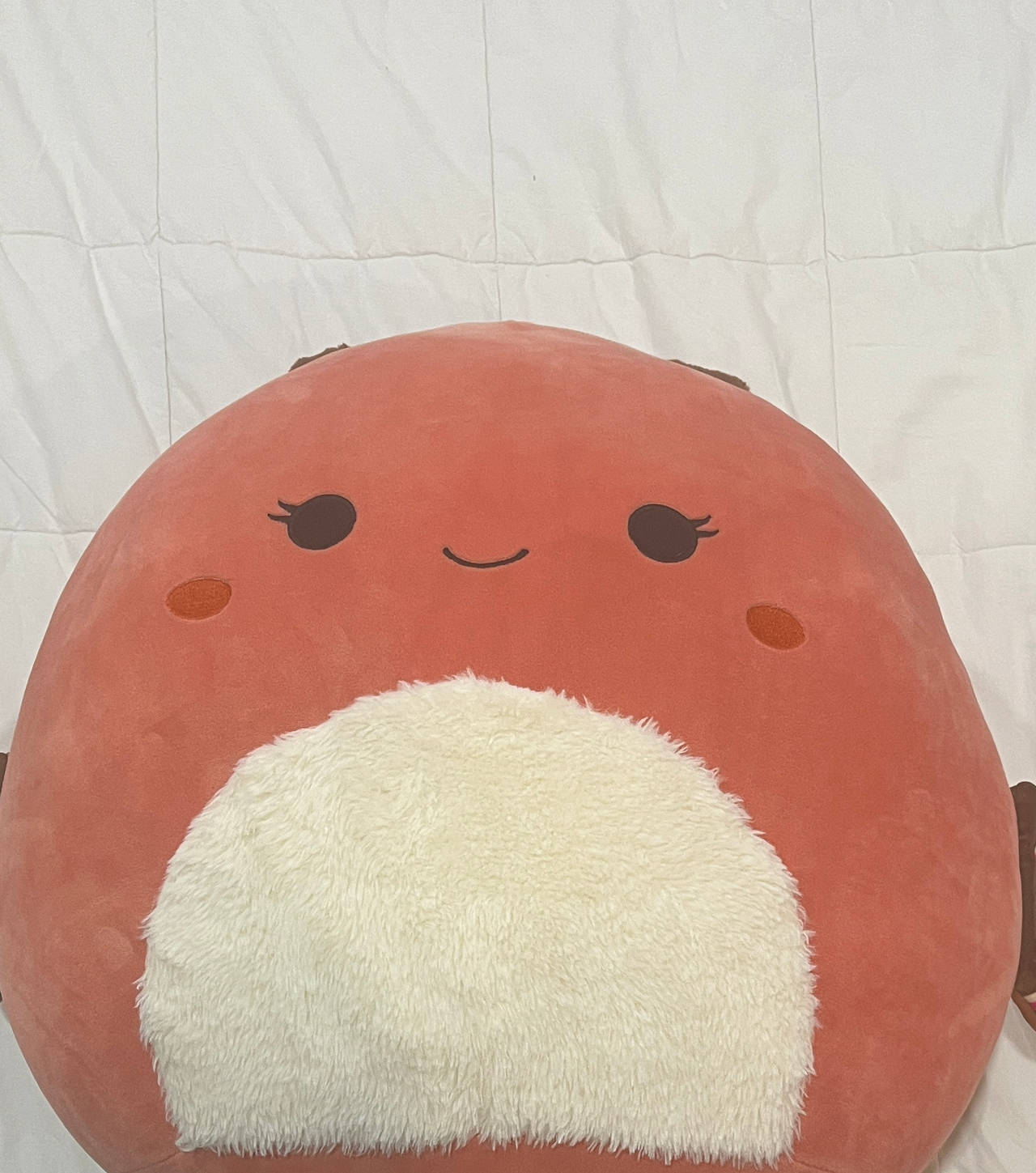 Squishmallows Baiden the Red Dragon Fuzzy Belly Plush