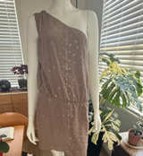 Haute Hippie Grommet One Shoulder Silk Dress - Image 1