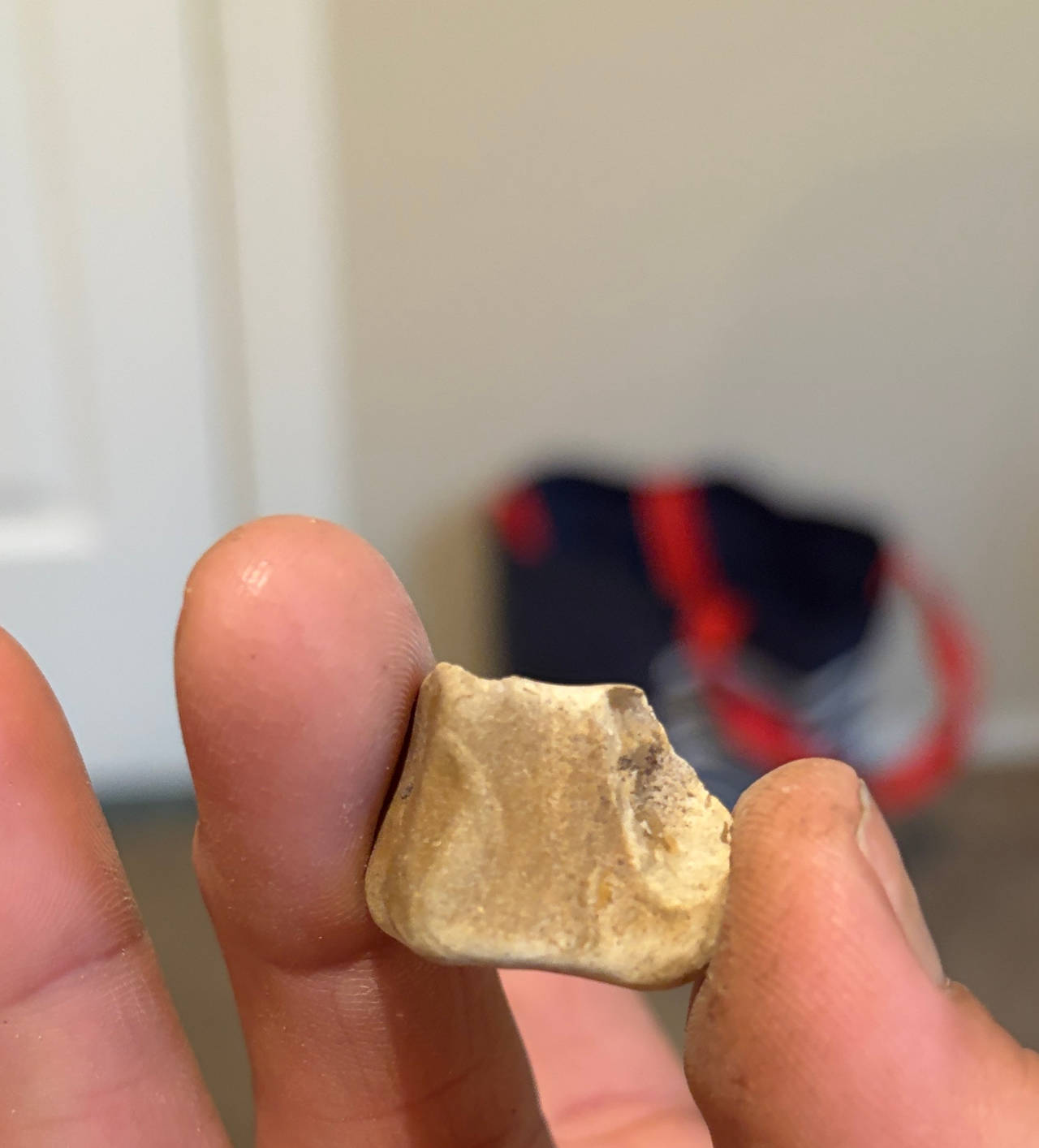 Native American Stone Artifact Flake